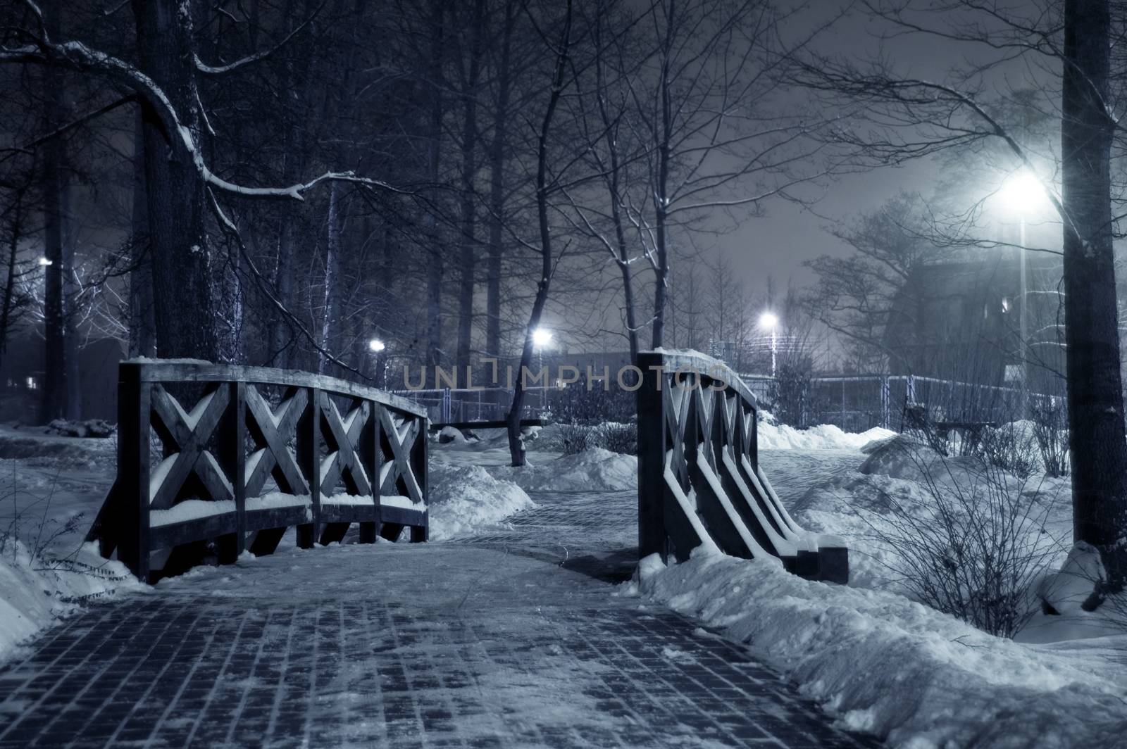 Winter park at night. Frosty winter in dark park.