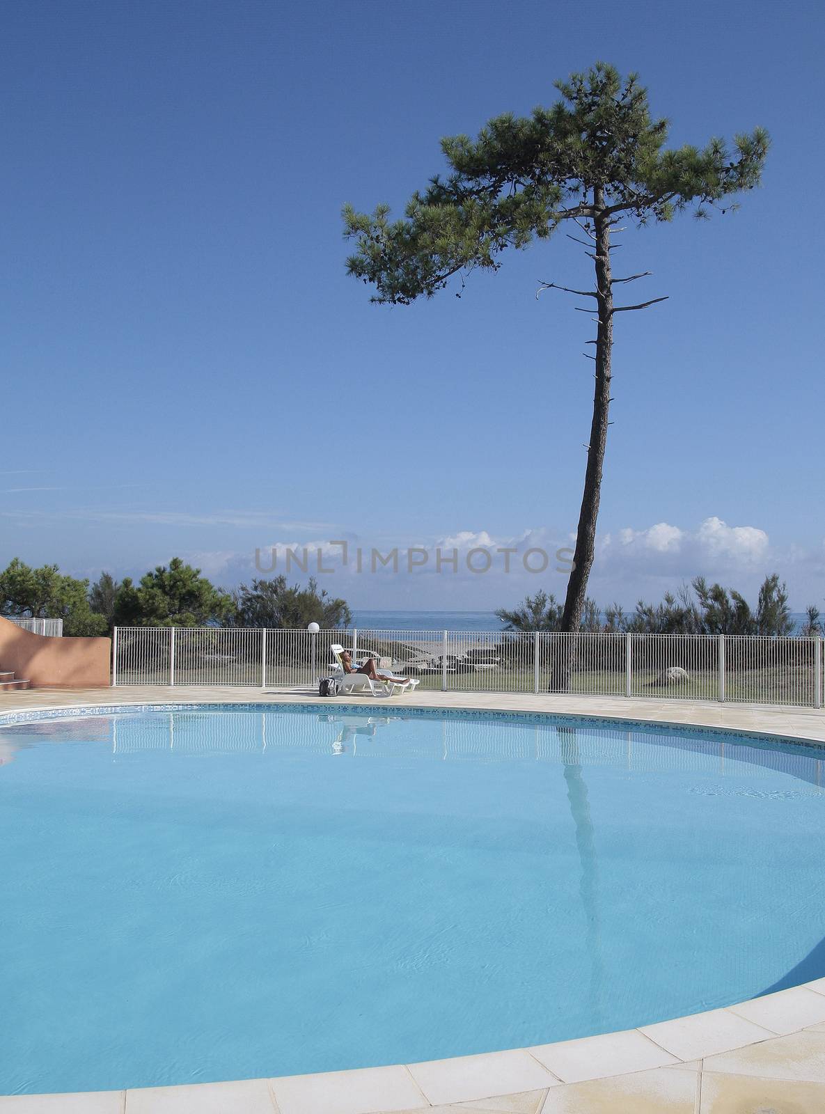 pool and tree, on the sea in corsica, france by belinchephoto