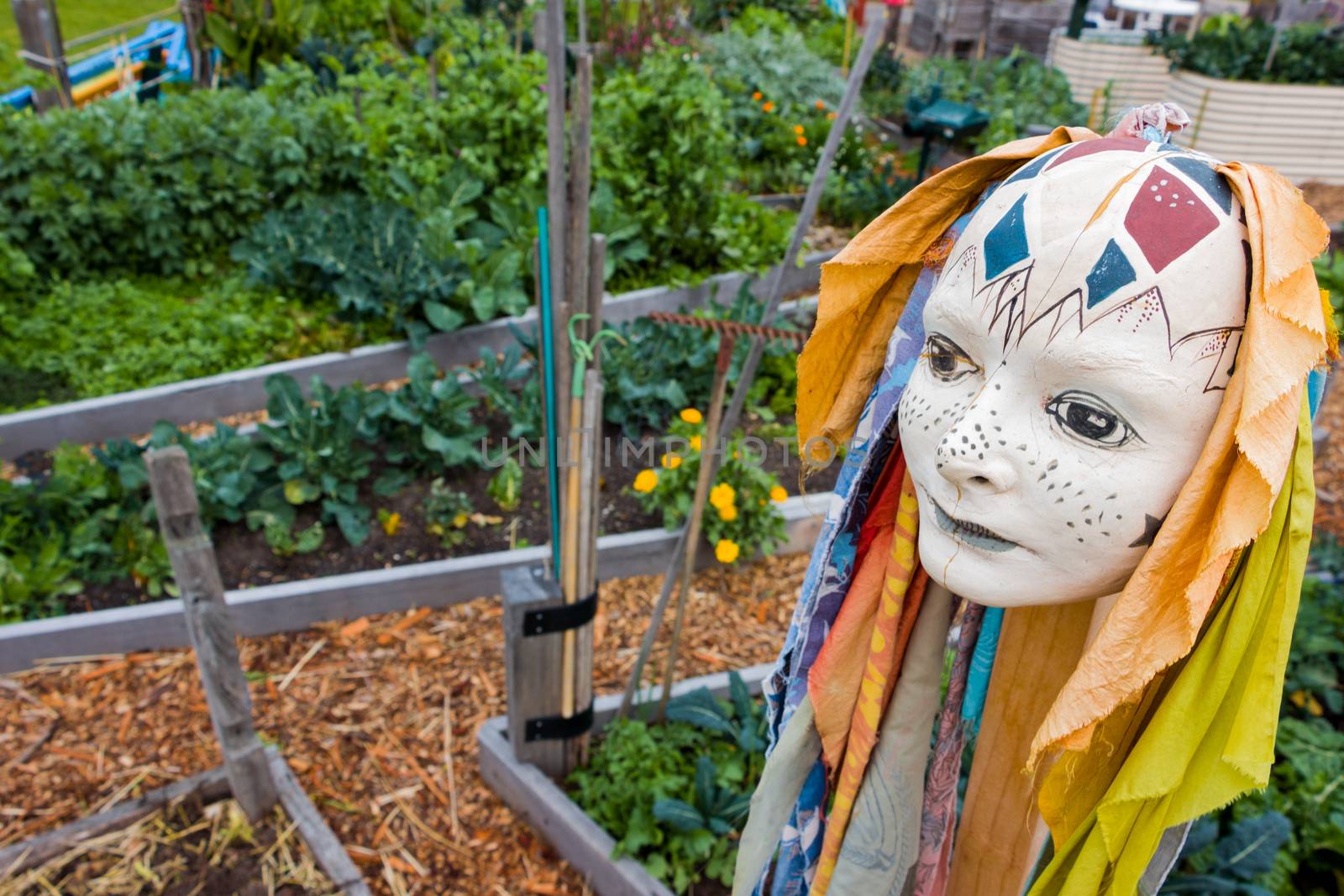 An Abstract Scuplture of a Head in a Garden by davidhewison