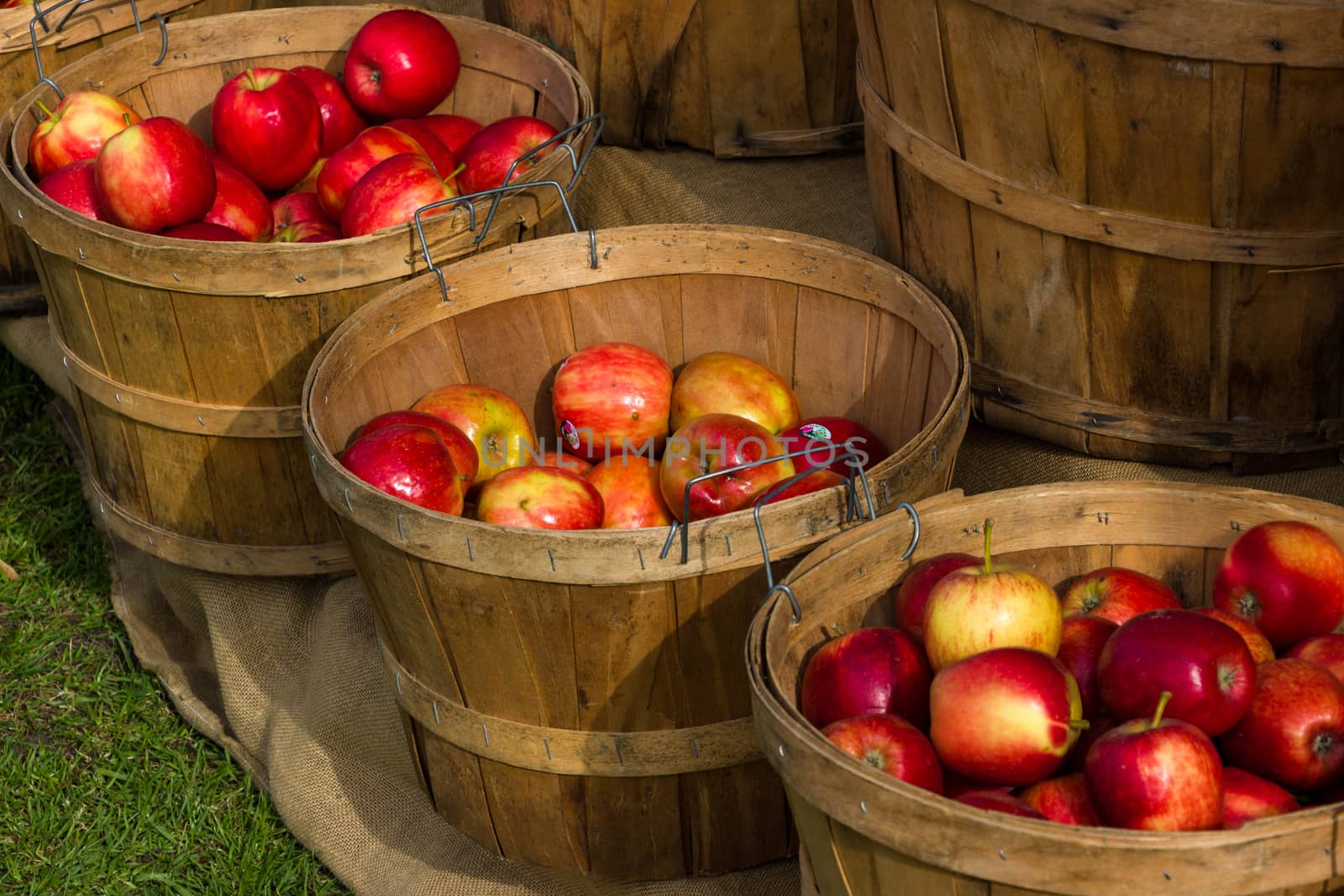 Wooden Baskets of Fresh Red Apples at a Market by davidhewison