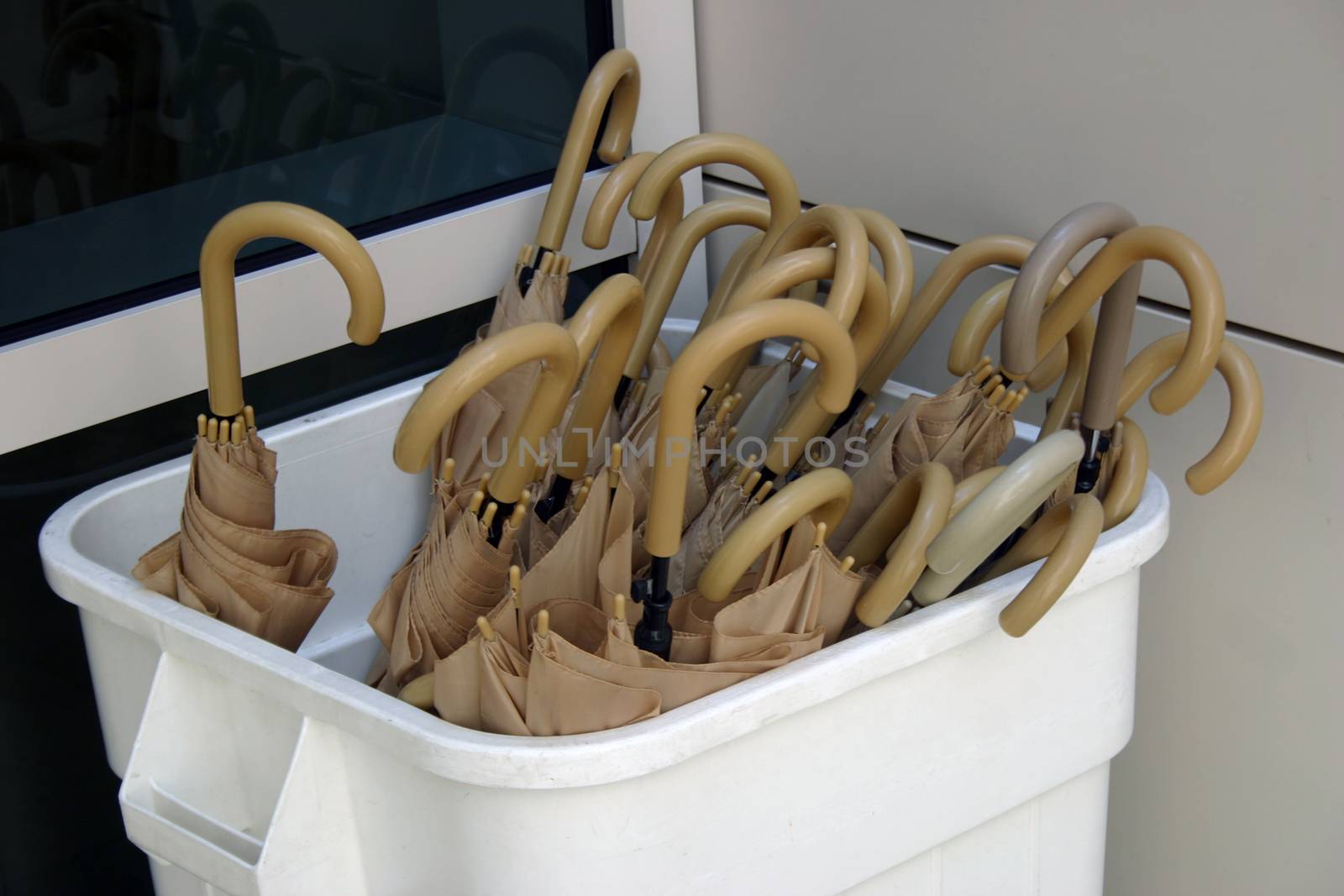 Many brown umbrellas in a white box