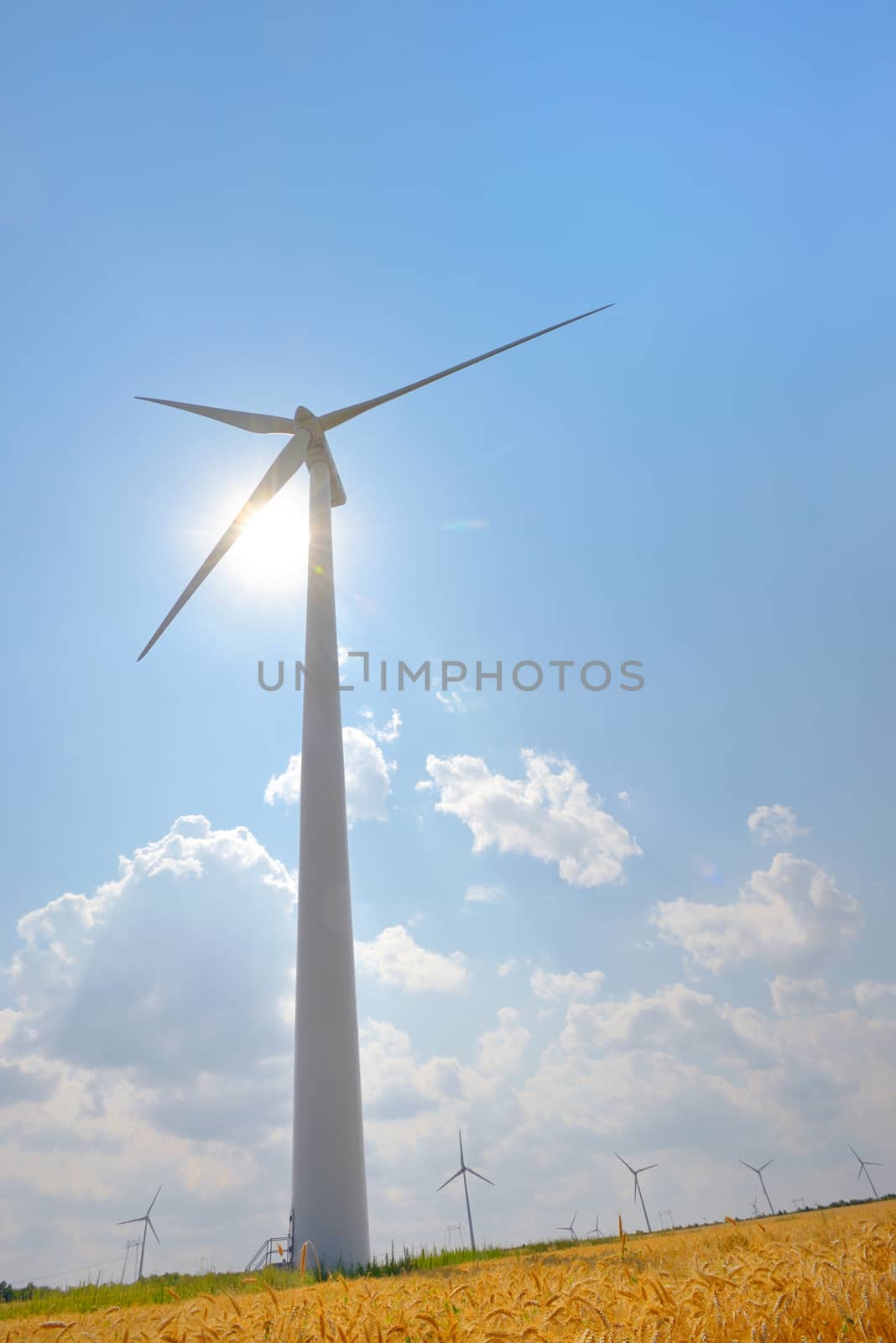 Wind Turbines in wind farm field