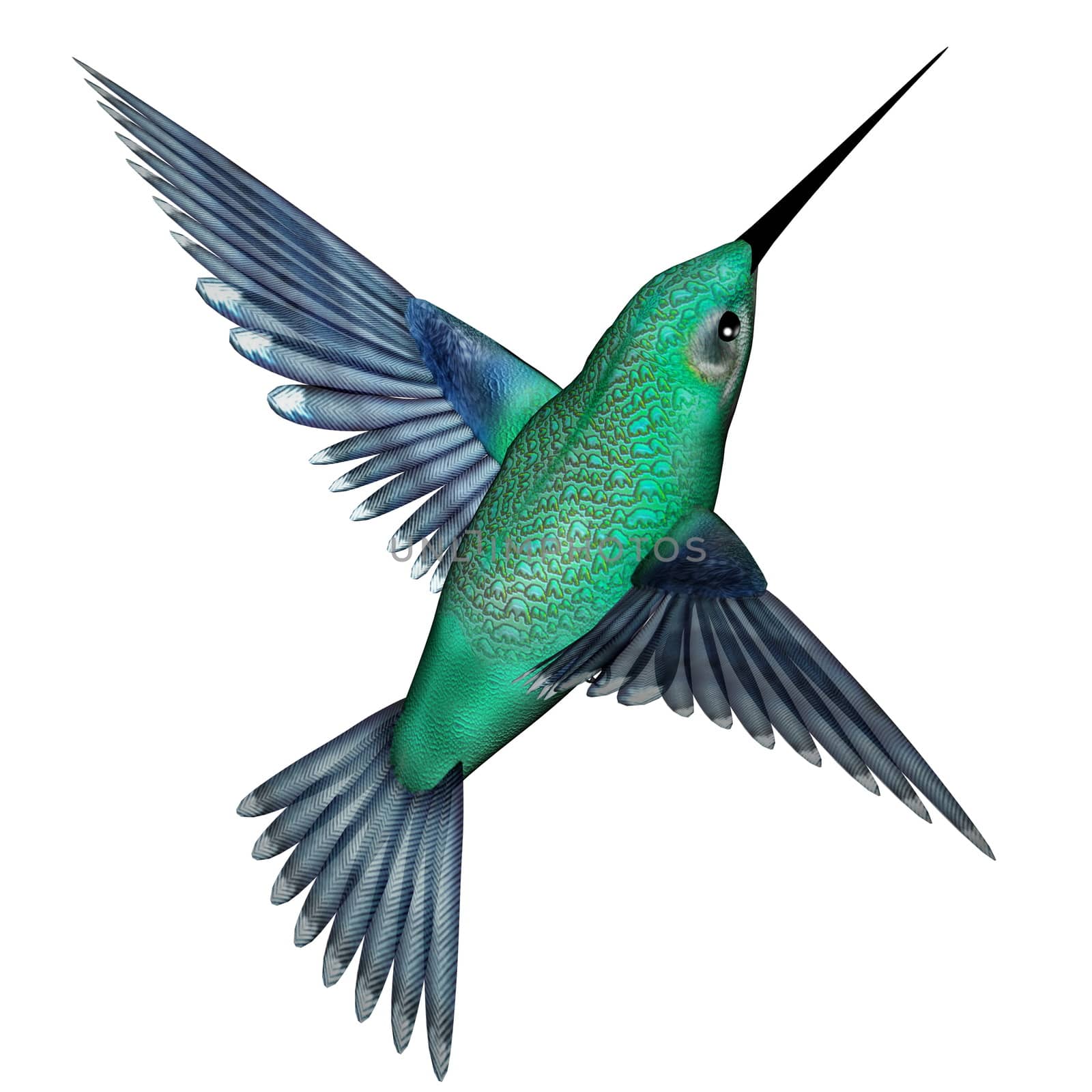 Emerald hummingbird - 3D render by Elenaphotos21