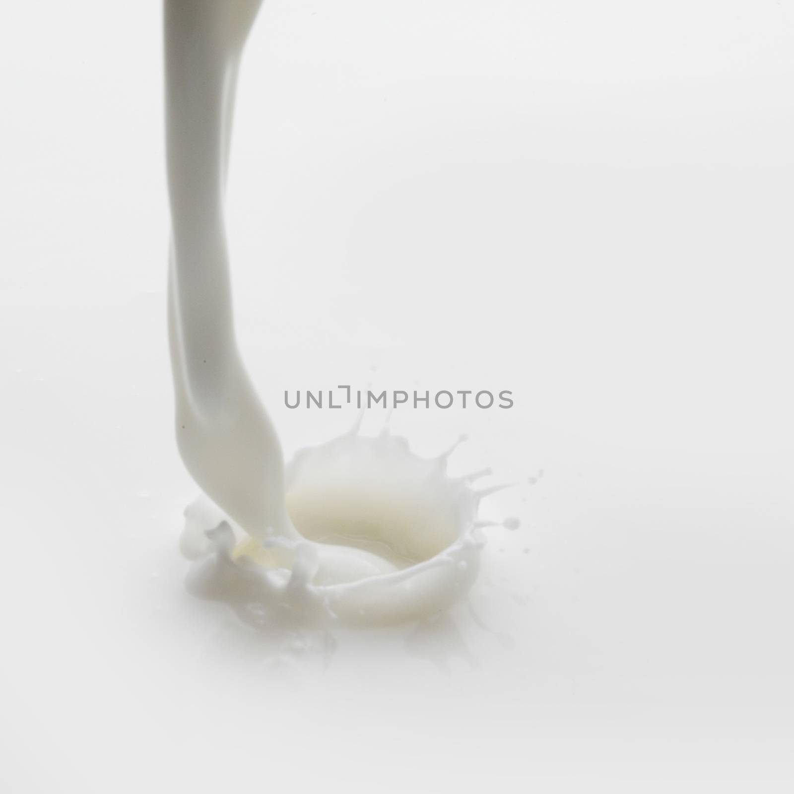 Pouring milk splash on white background macro