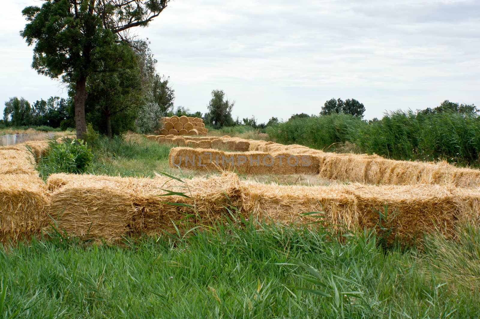 The large bales of straw stacked laid.