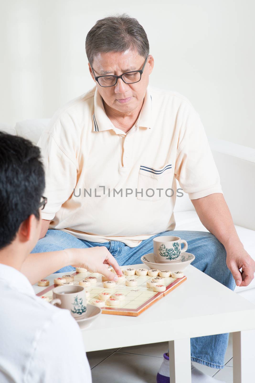 Playing Chinese Chess by szefei