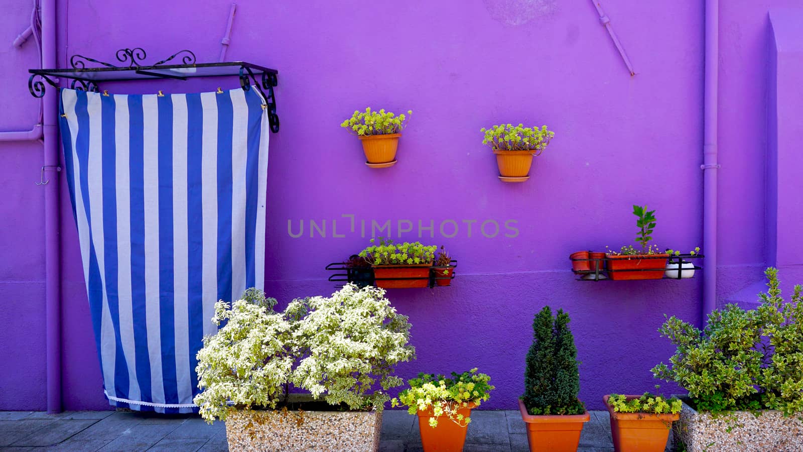 Burano purple wall color house  by polarbearstudio