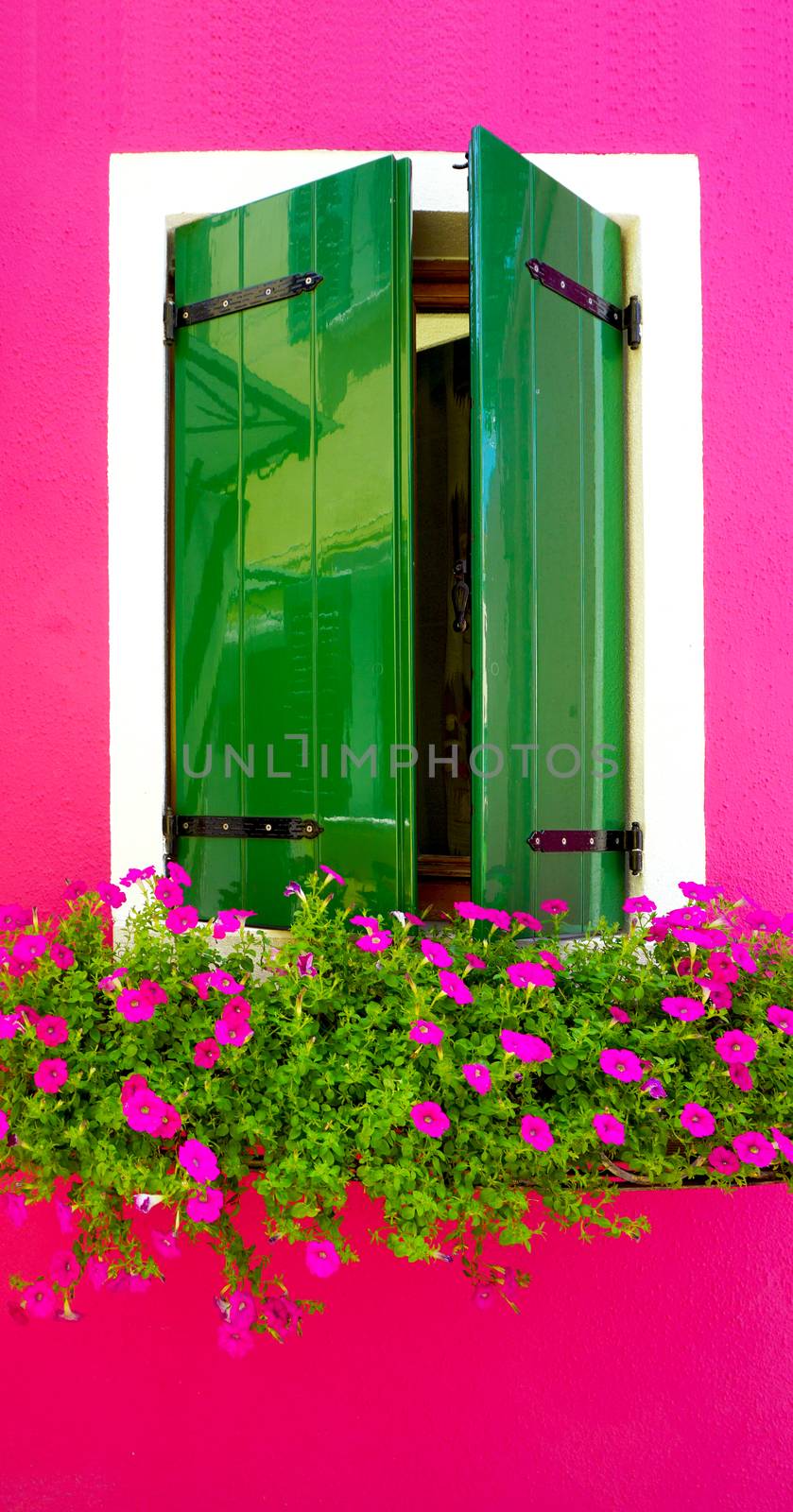 green wood paint Window in Burano with bright pink color wall building architecture, Venice, Italy