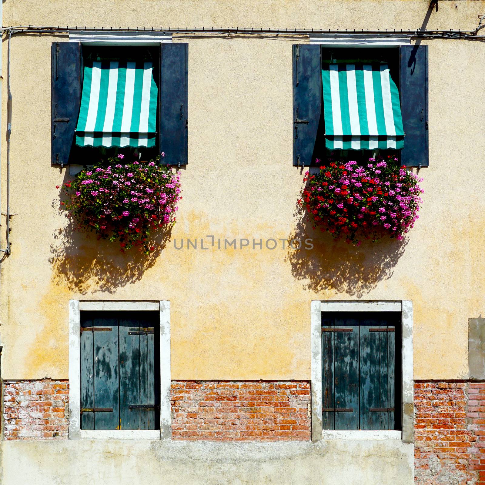two doors and two windows house building in Murano, Venice, Italy