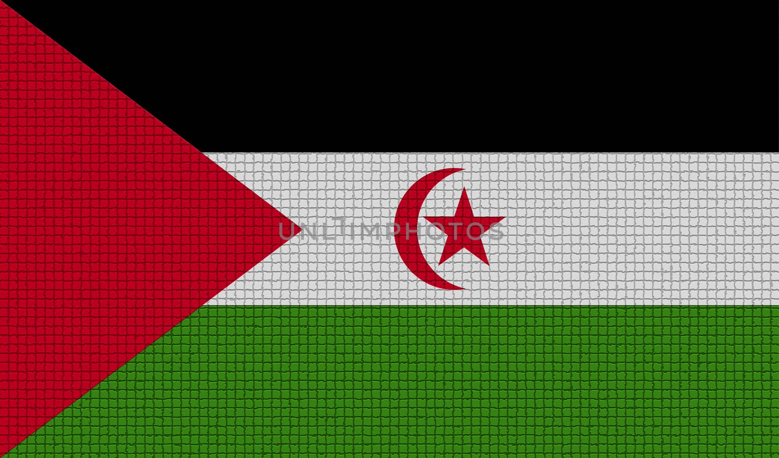 Flags of Western Sahara with abstract textures. Rasterized version