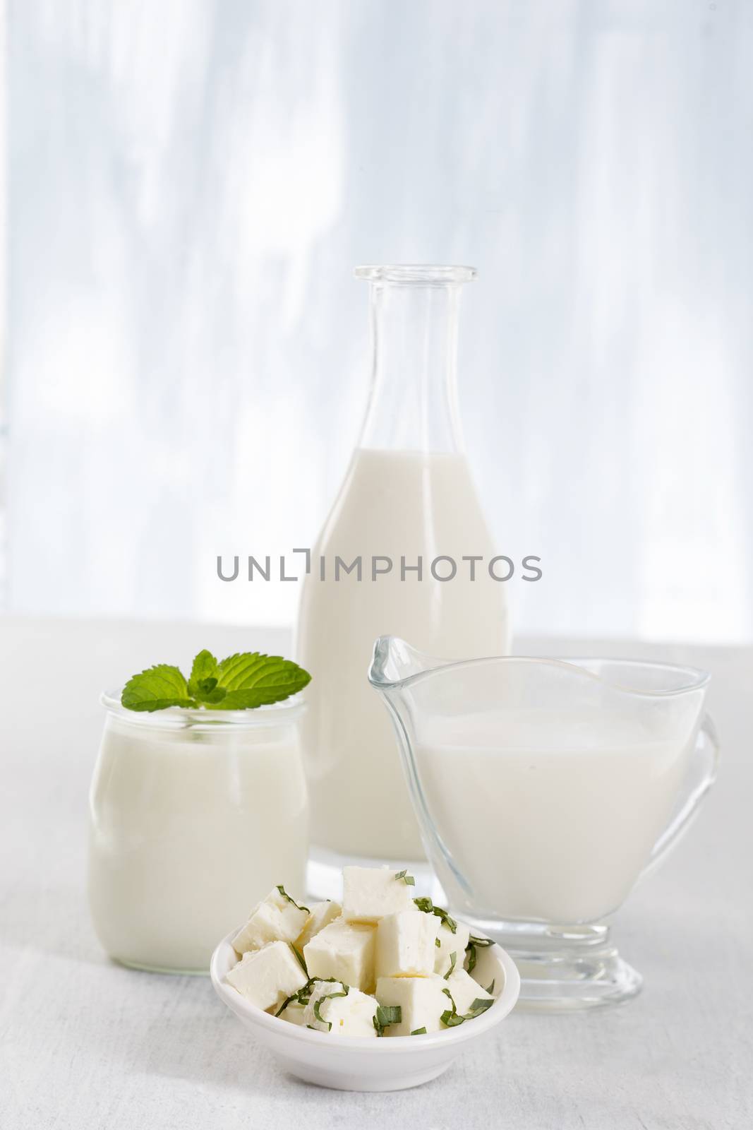 Dairy Products,  Includes: Milk, Various Types of Cheese, Butter, Ricotta and Yogurt..