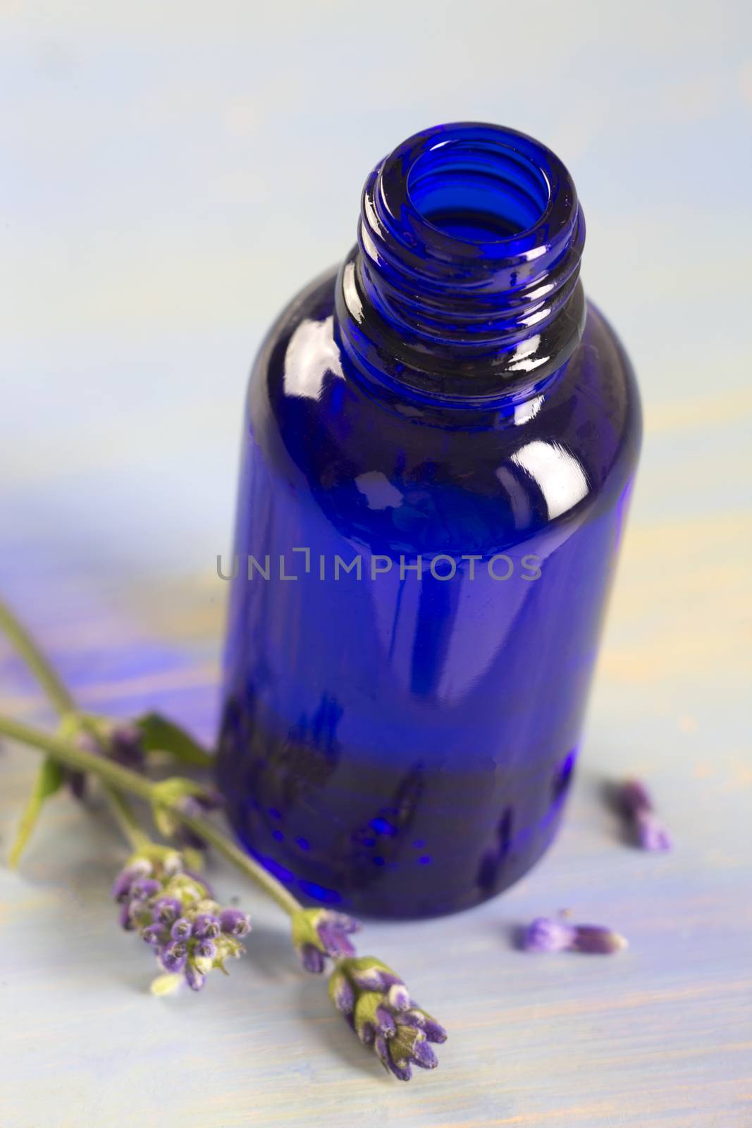 Lavender essential oil bottle by JPC-PROD