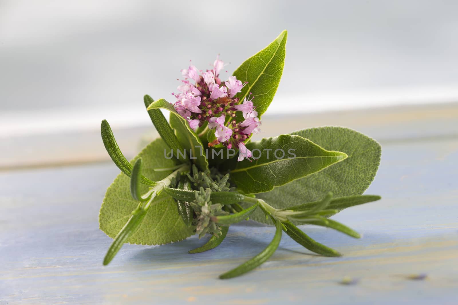 A bouquet garni of fresh-picked herbs,   Rosemary, sage, oregano and thyme, ready for adding to that special dish.