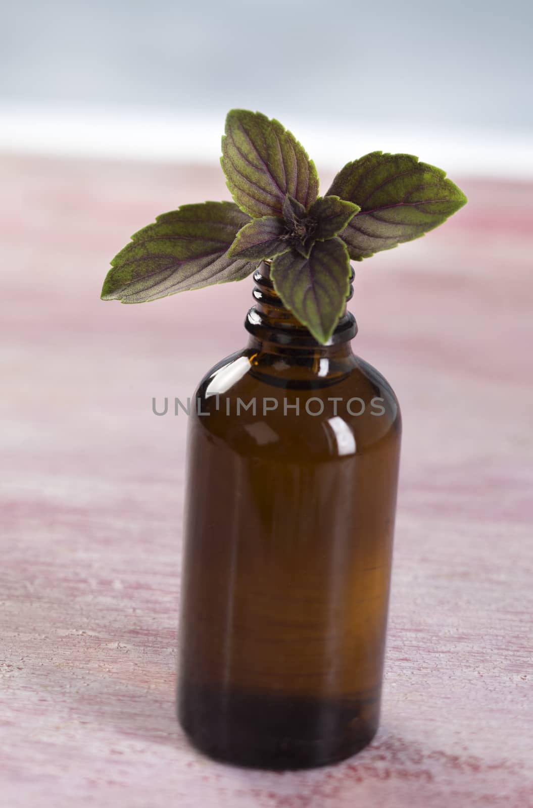 Aromatherapy - Basil essential oil bottle  by JPC-PROD