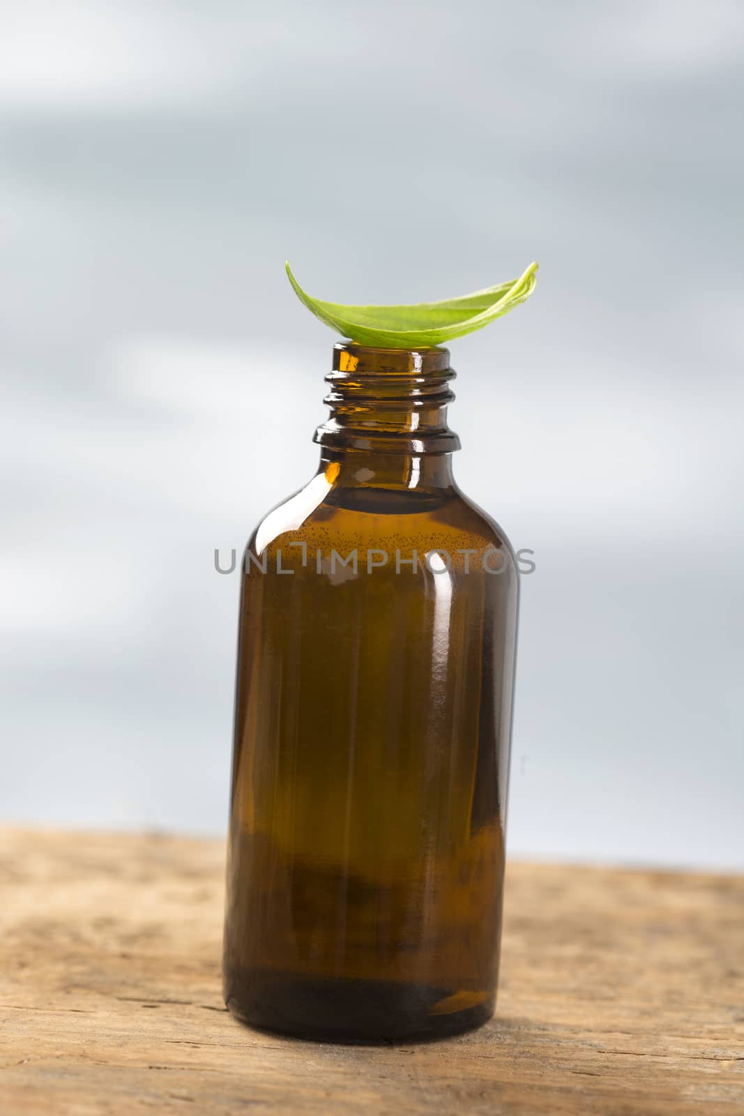 Aromatherapy - Basil essential oil bottle  by JPC-PROD