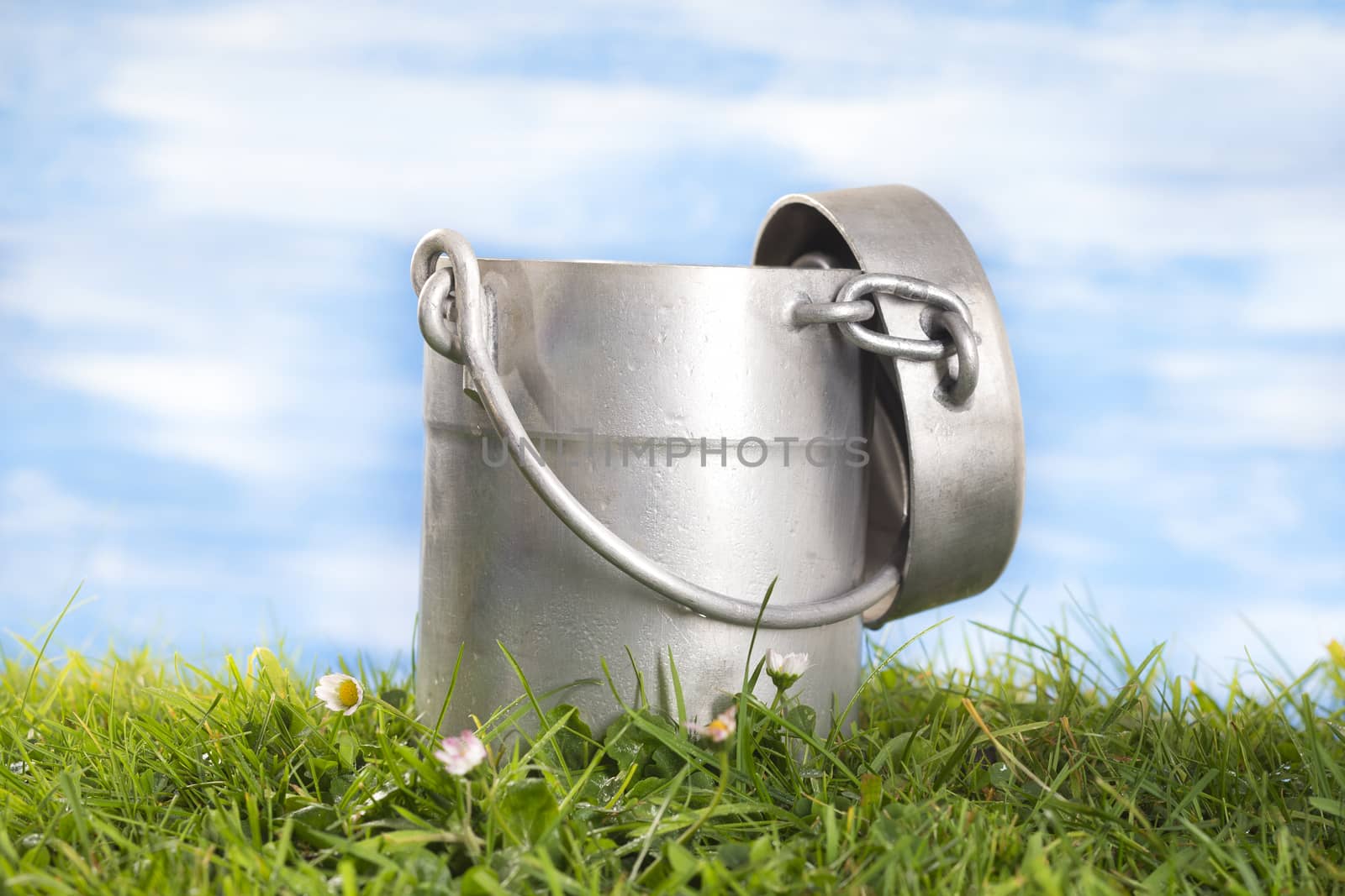 Milk Jug aluminum  on the grass with cflowers  the sky with clouds by JPC-PROD