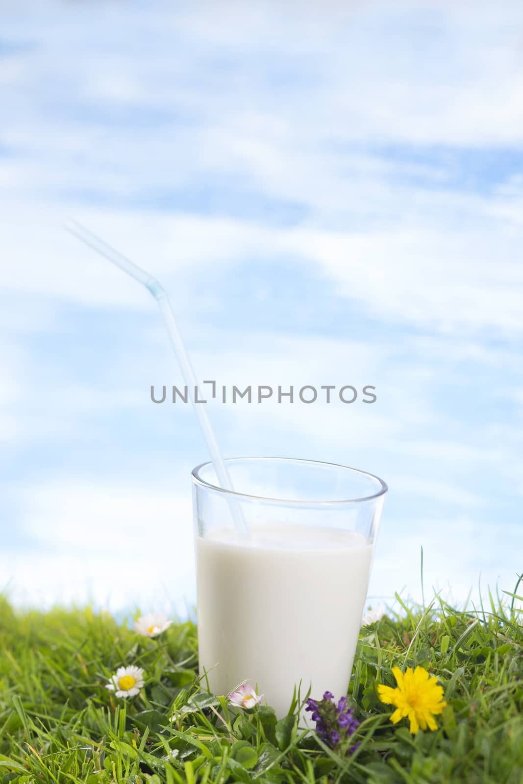 glass of milk on the grass with flowers  the sky with clouds on the background.