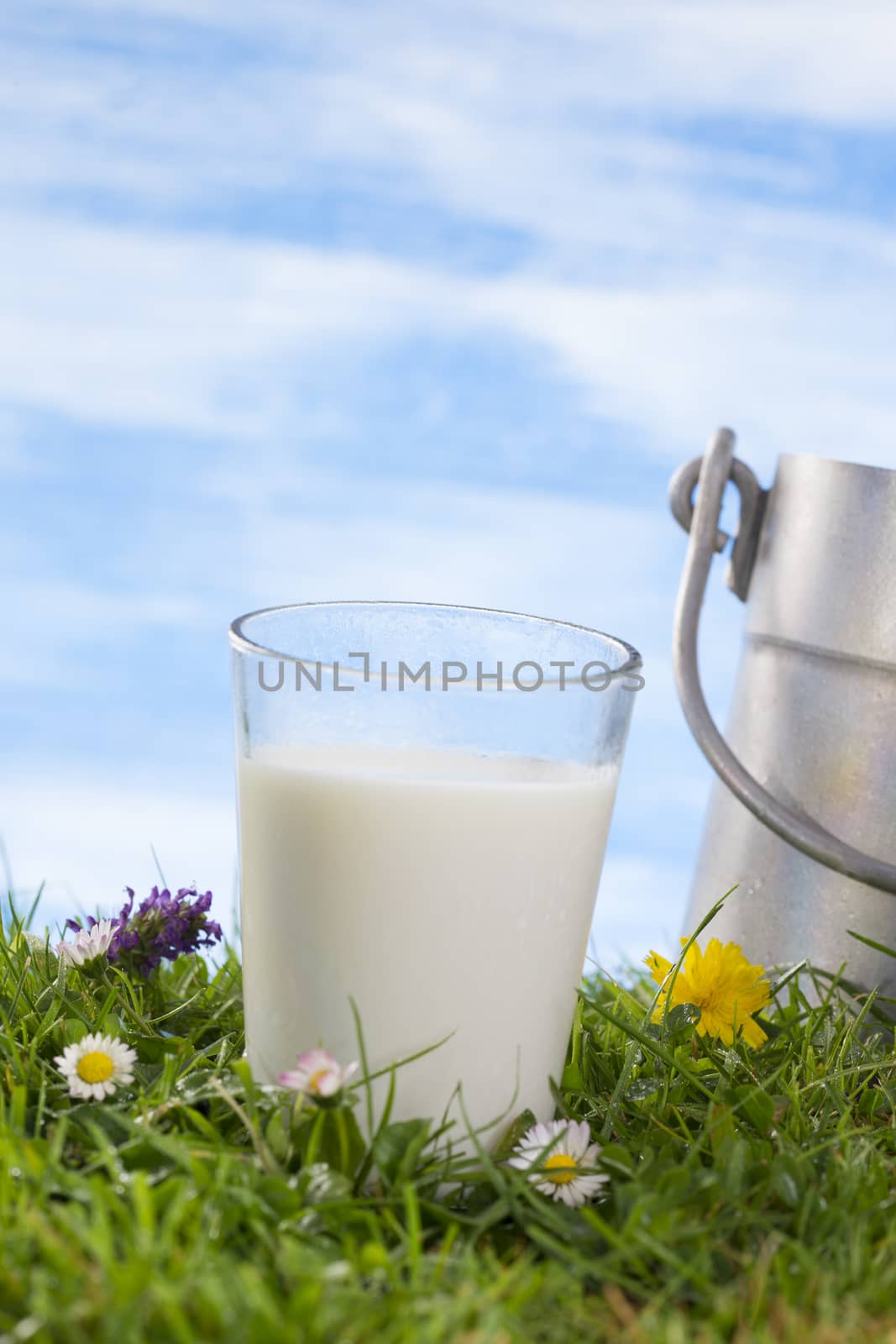 glass of milk and Vintage milk churn  by JPC-PROD