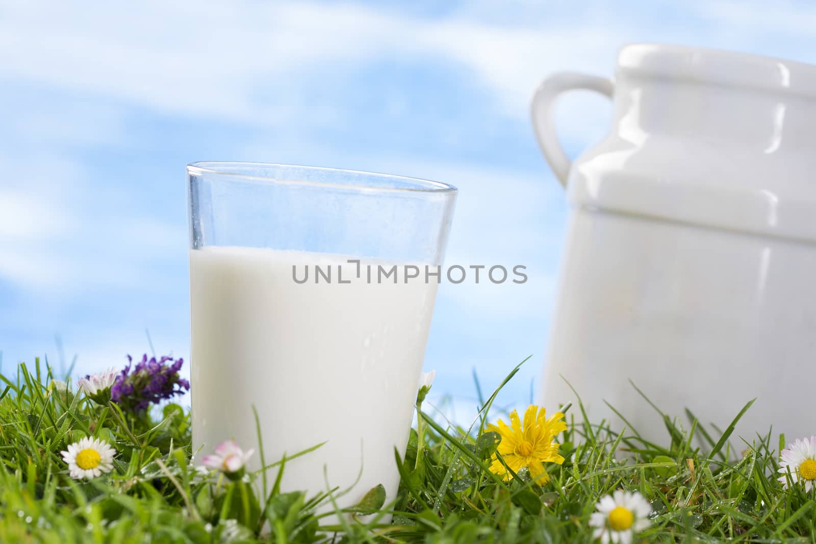 Old style milk jug and glass of milk on the grass with cflowers  the sky with clouds on the background.
