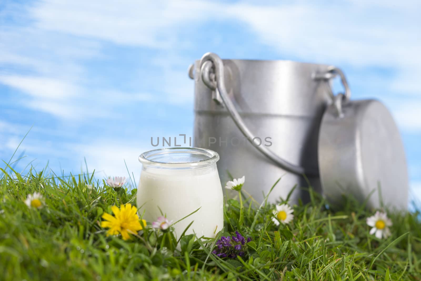 Yogurt and Old style milk jug on the grass with cflowers  the sky with clouds on the background.