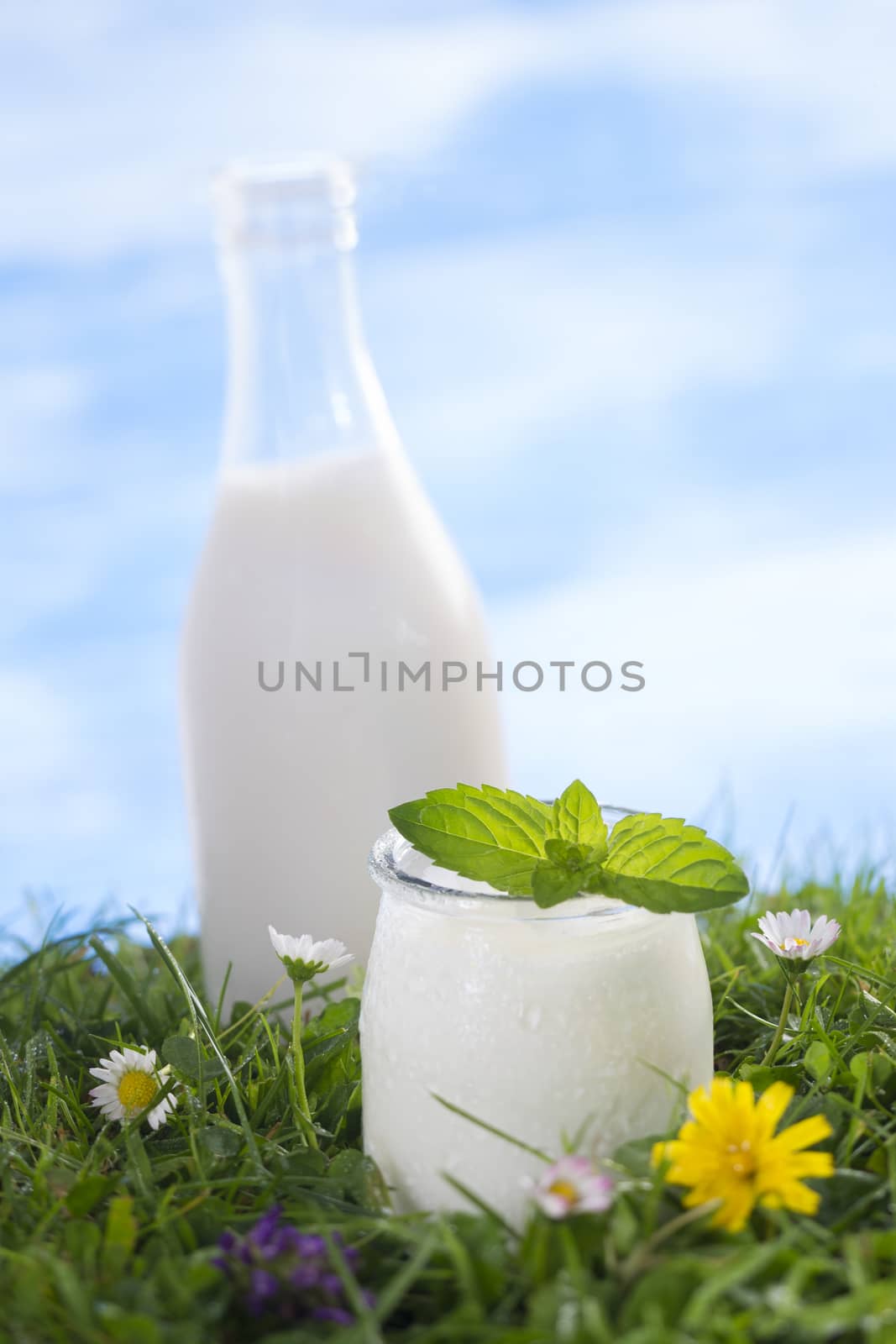 Bottle of milk and jar of yoghurt with mint leaf on the grass with cflowers  the sky with clouds on the background.