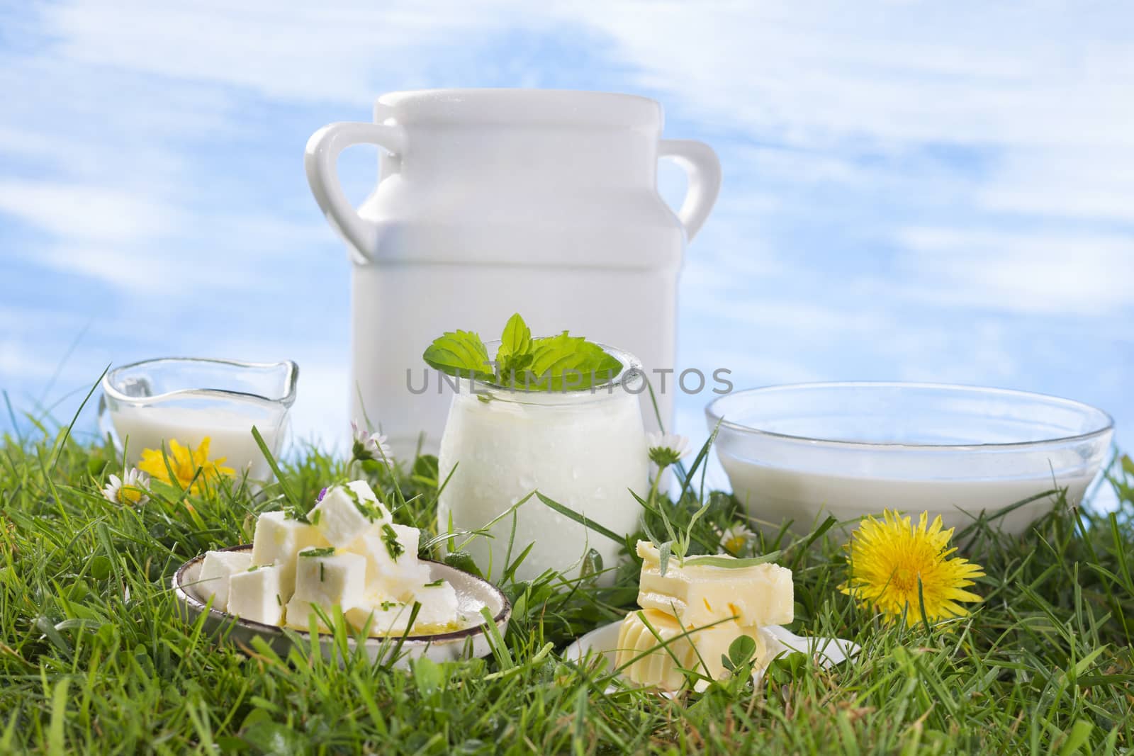 Dairy Products,  Includes: Milk, Various Types of Cheese, Butter, Ricotta, Yogurt and Old style milk jug