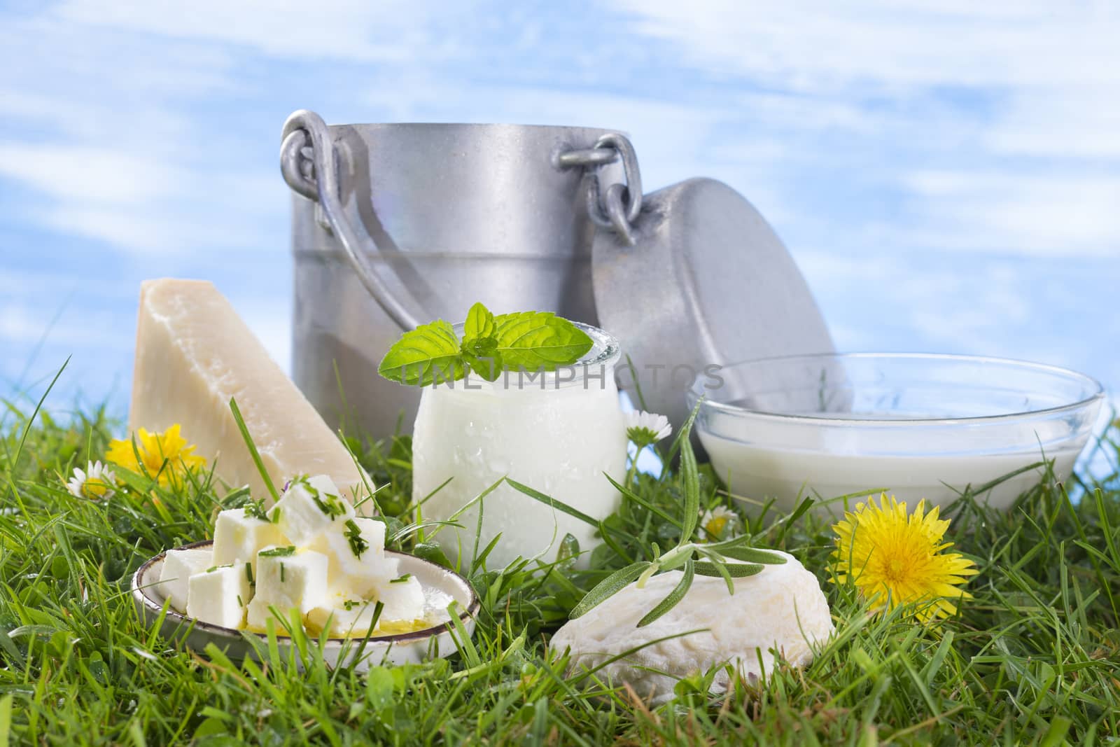 dairy products on the grass with flowers by JPC-PROD