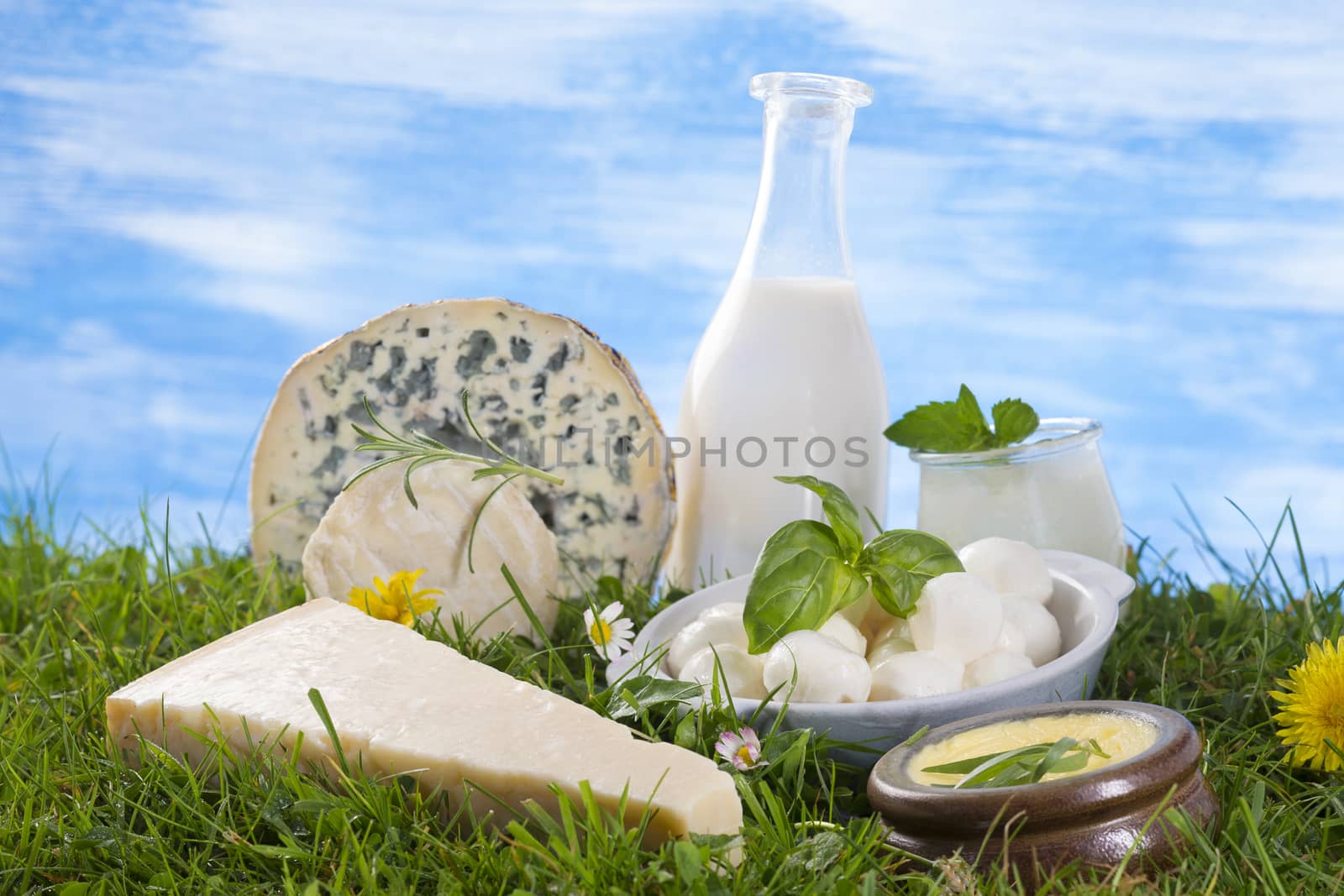 Dairy Products,  Includes: Milk, Various Types of Cheese, Butter, Ricotta and Yogurt..