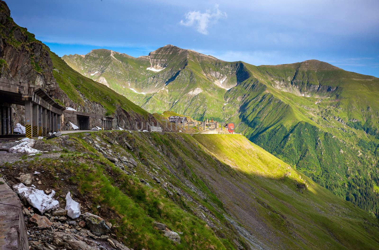 Transfagarasan mountain road with wild flowers from Romaniacovered with fog