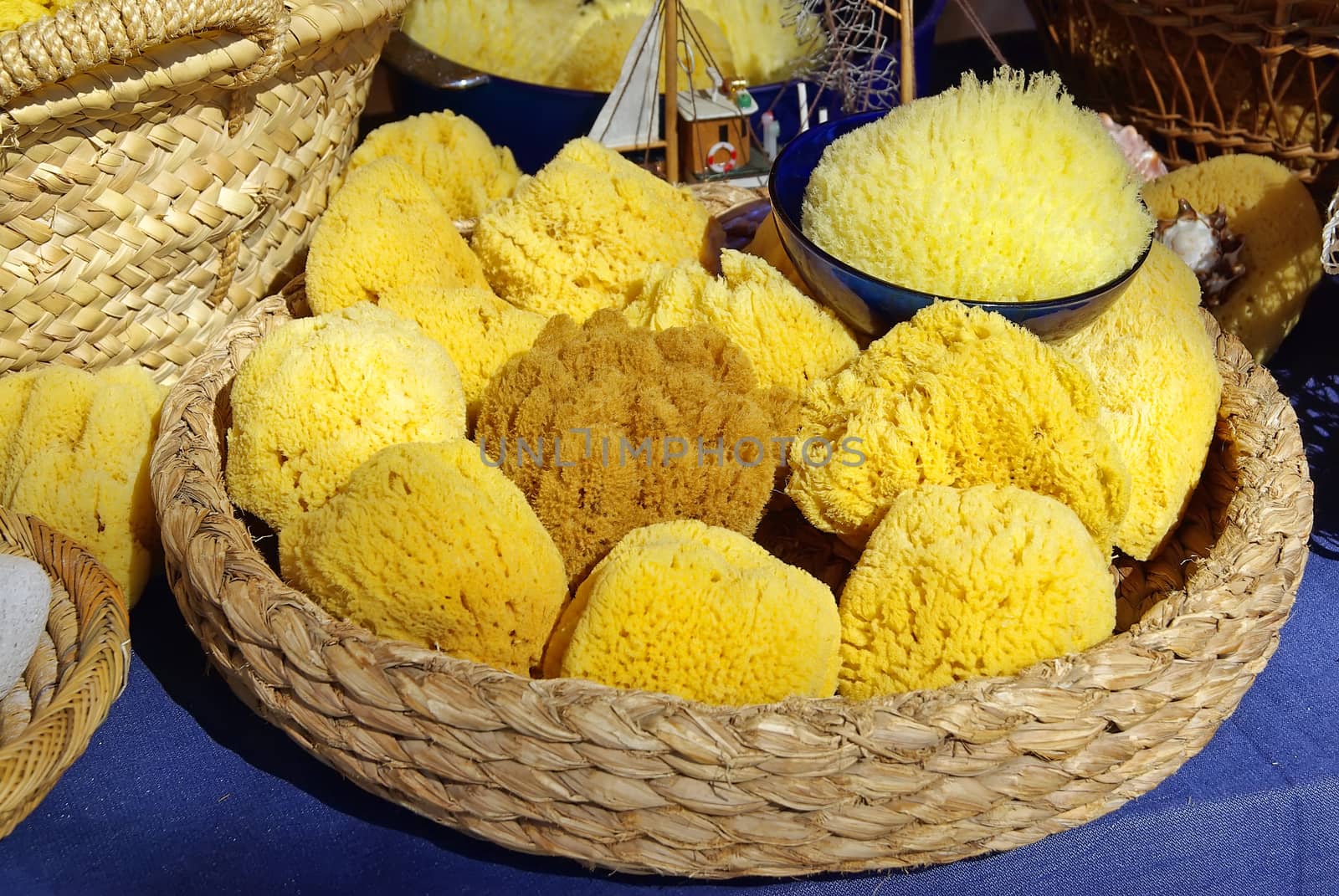 Natural and biological yellow sponges