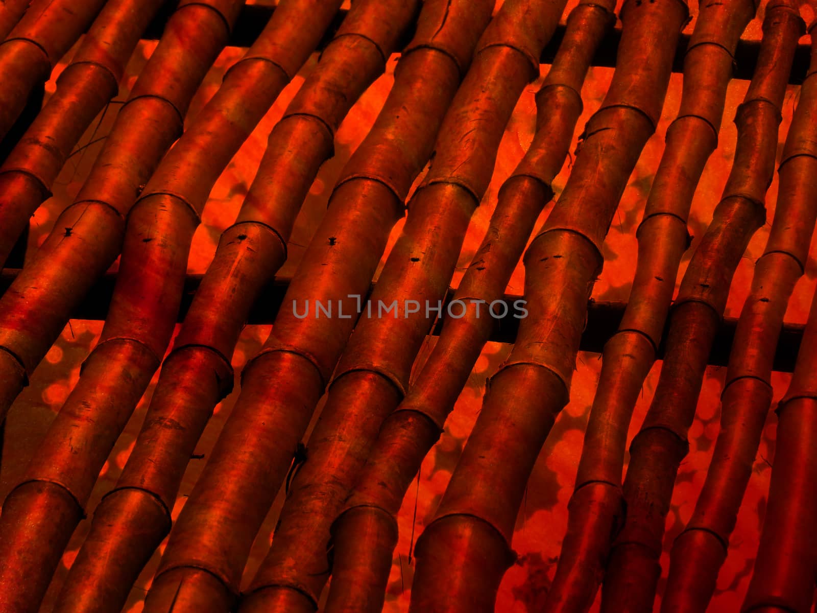 Red Bamboos by thefinalmiracle