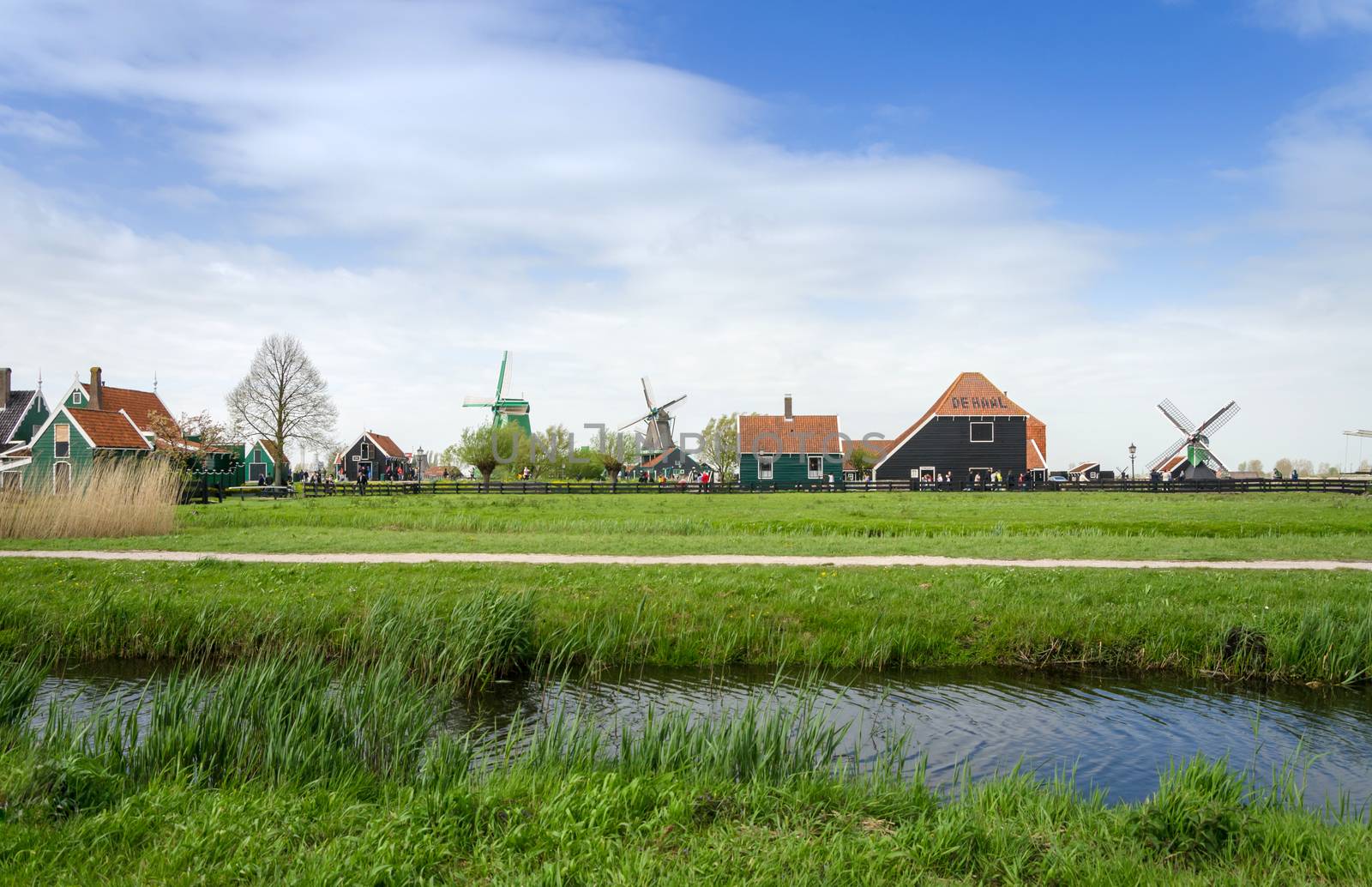Windmills and rural houses in Zaanse Schans, Netherlands.