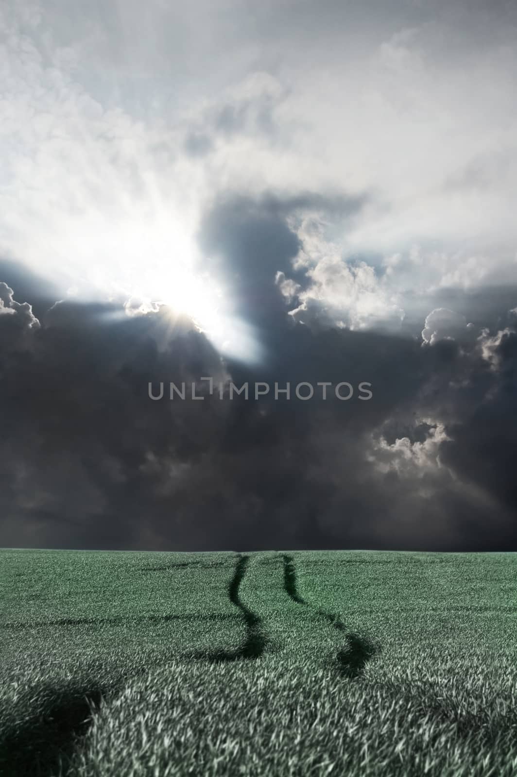 Storm clouds over field with green grass.