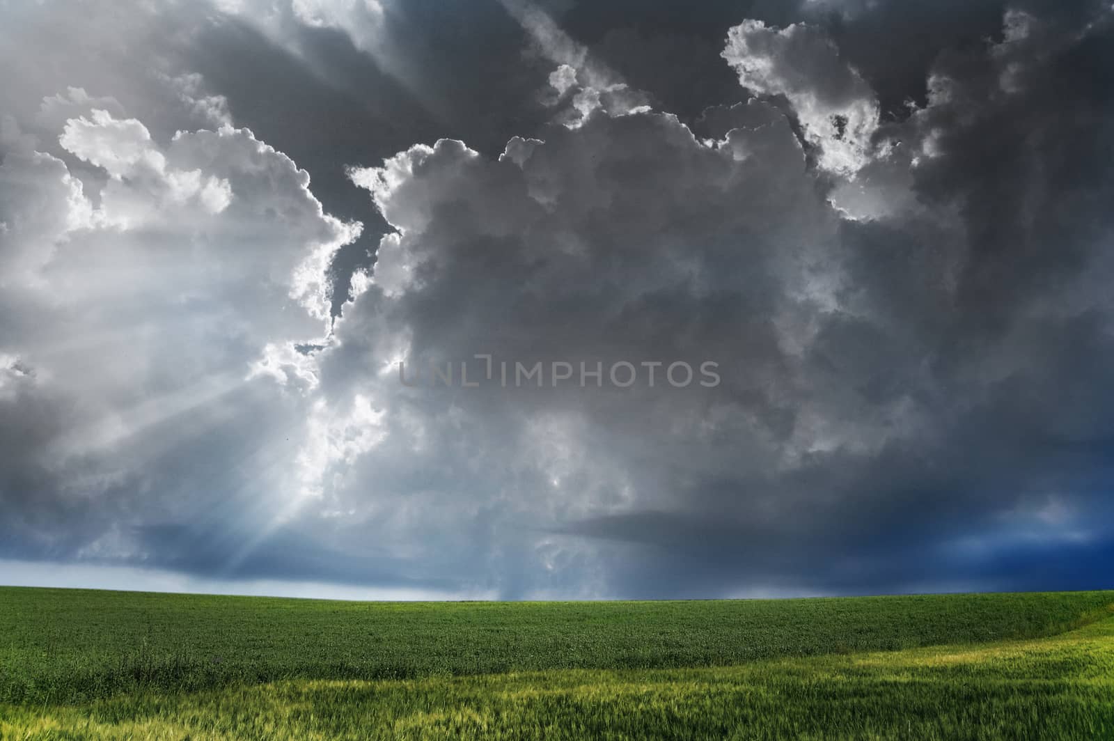 Storm clouds over field with green grass.