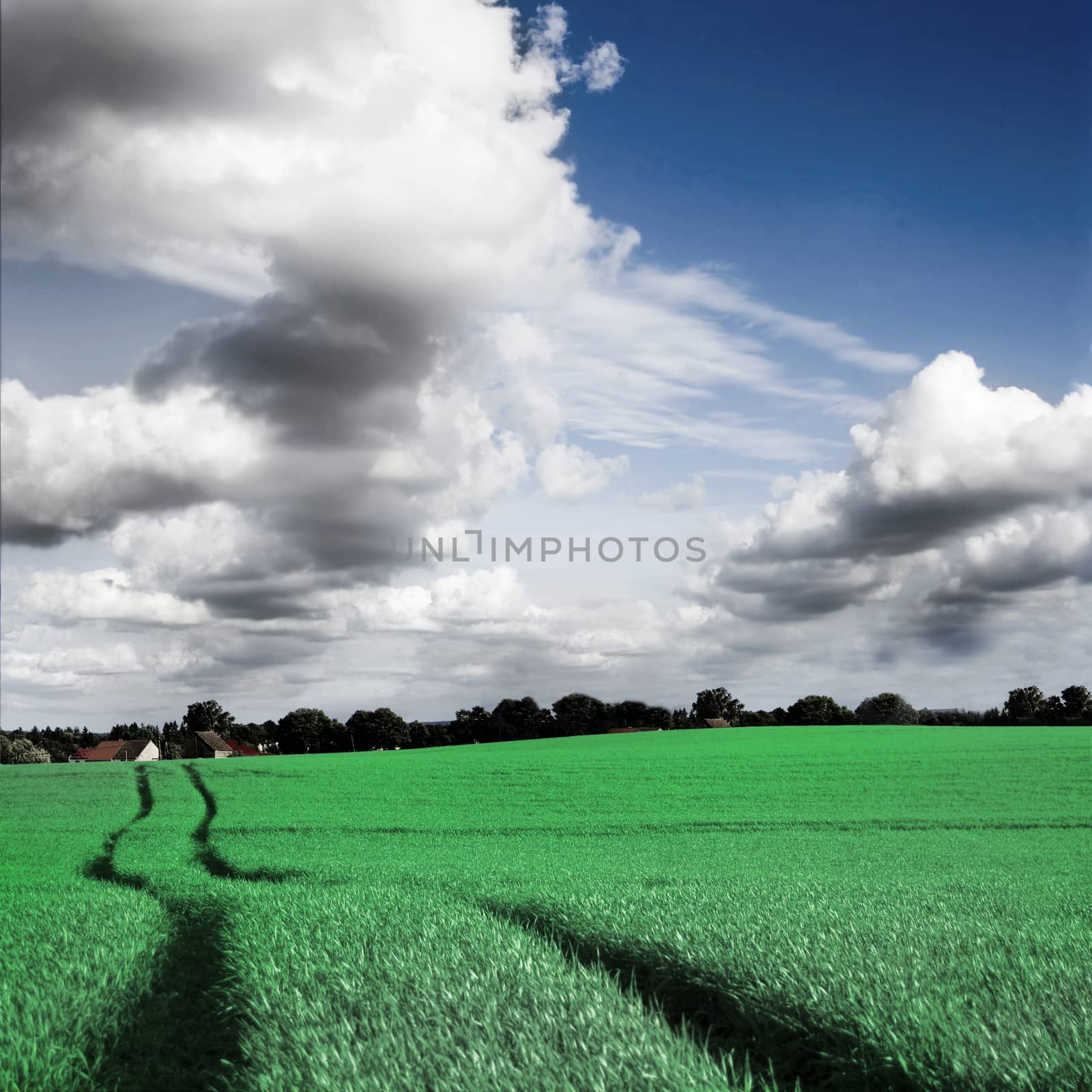 Green field and blue sky conceptual image. by satariel