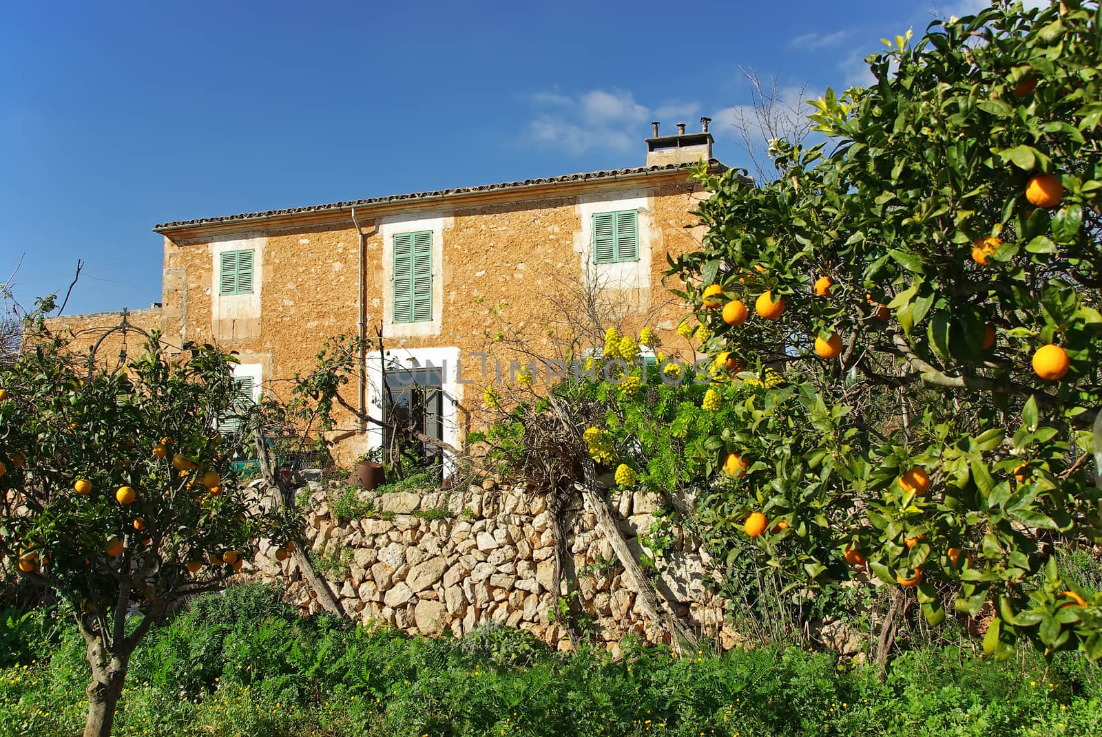 Typical Country House in Majorca (Balearic Islands - Spain)
