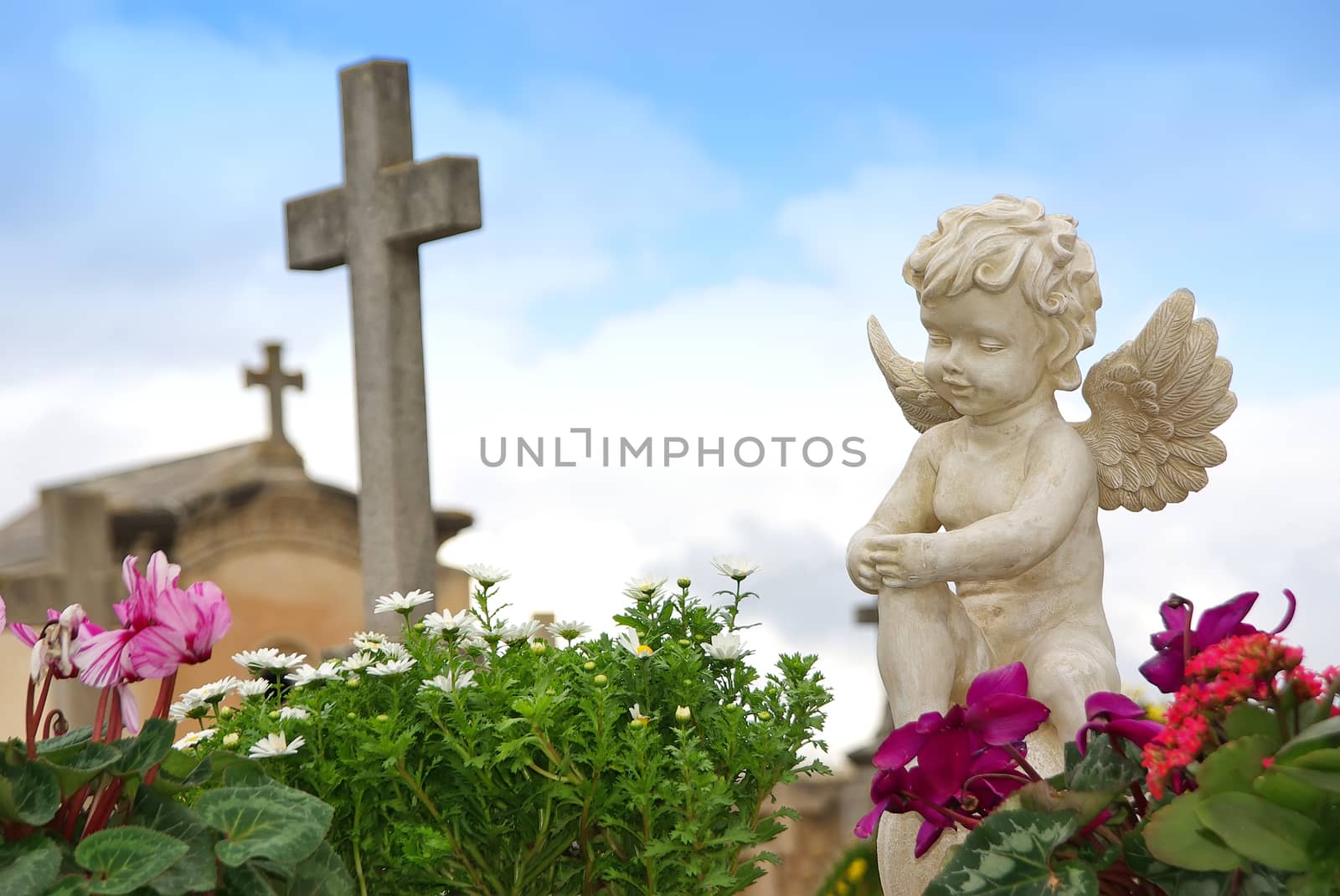 Statue of an angel boy located in a cemetery