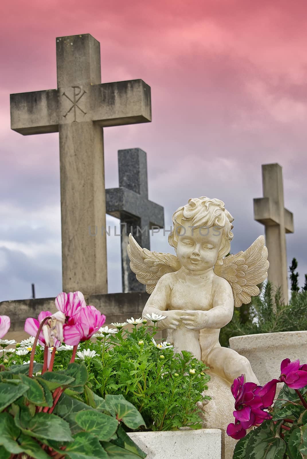Statue of an angel boy located in a cemetery