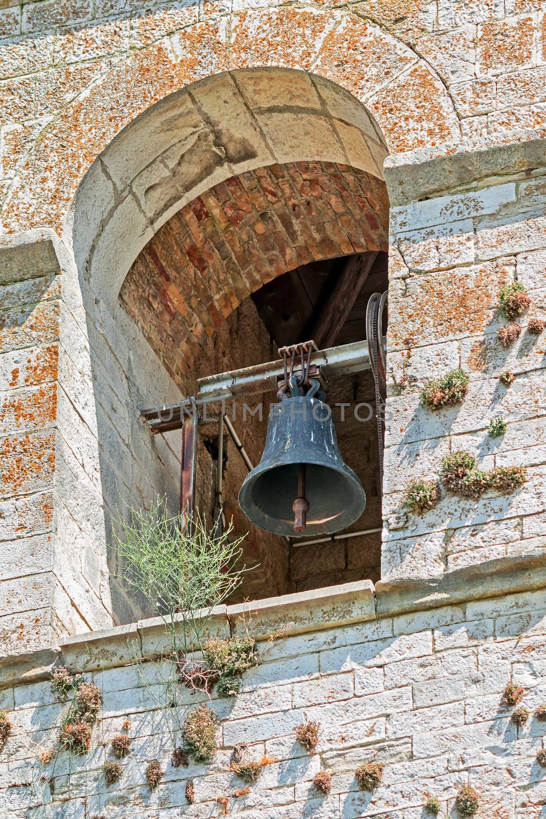 antique bell tower with vegetation