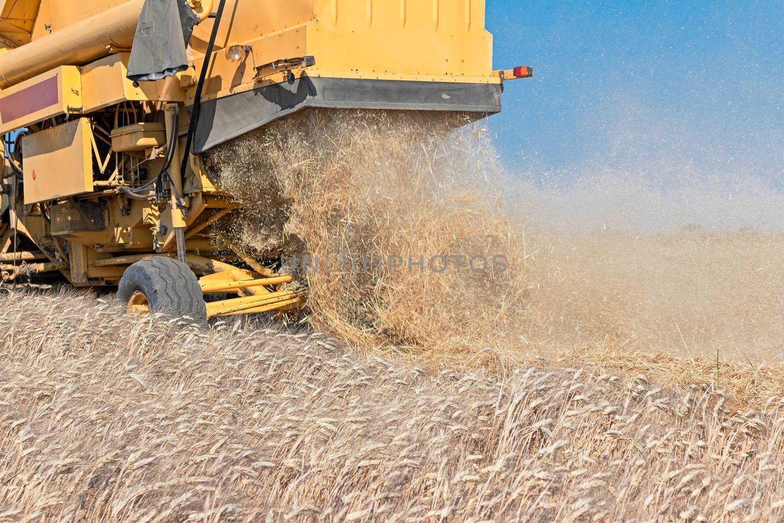 yellow combine harvester working in wheat field