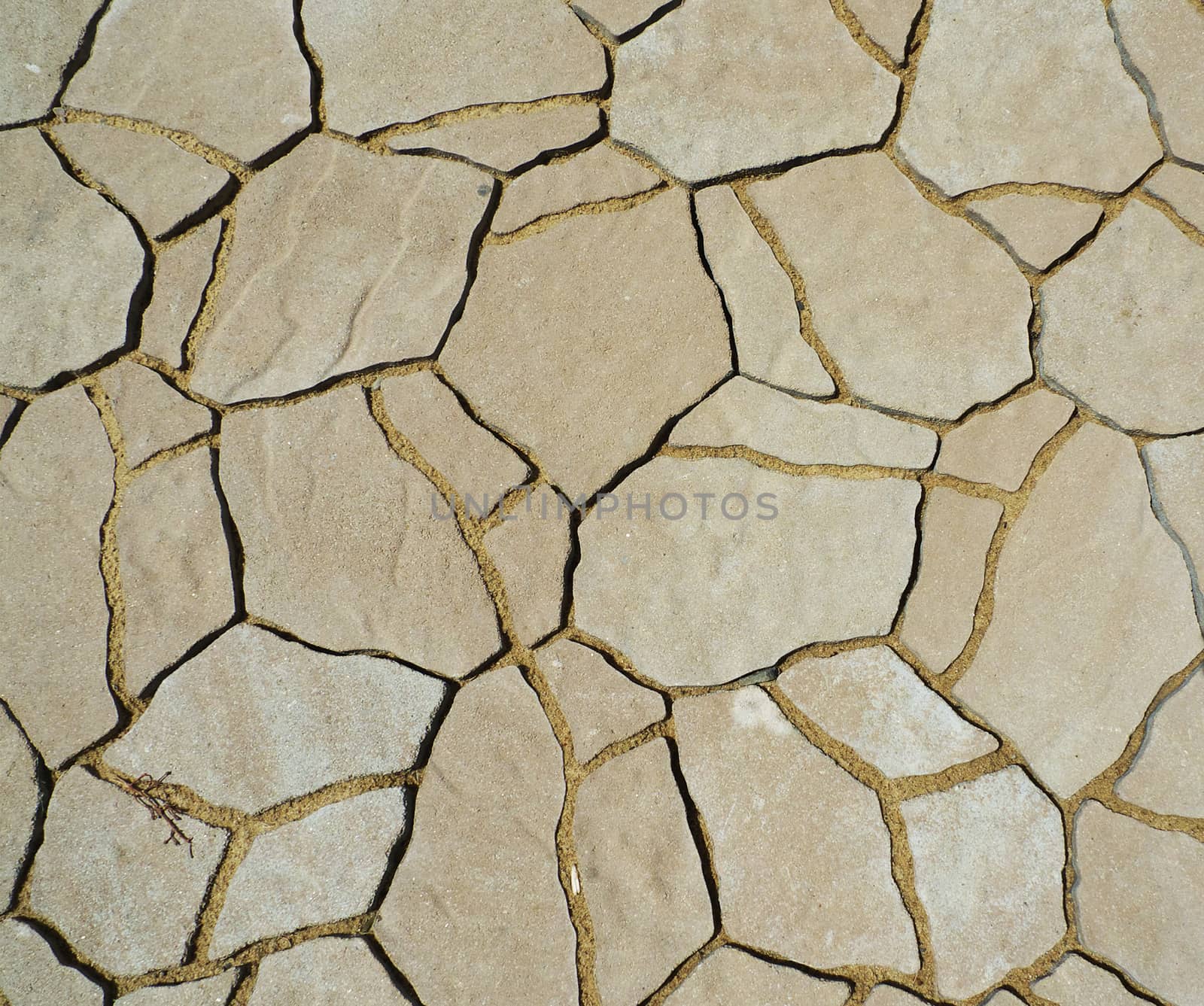Tiles texture on backyard floor