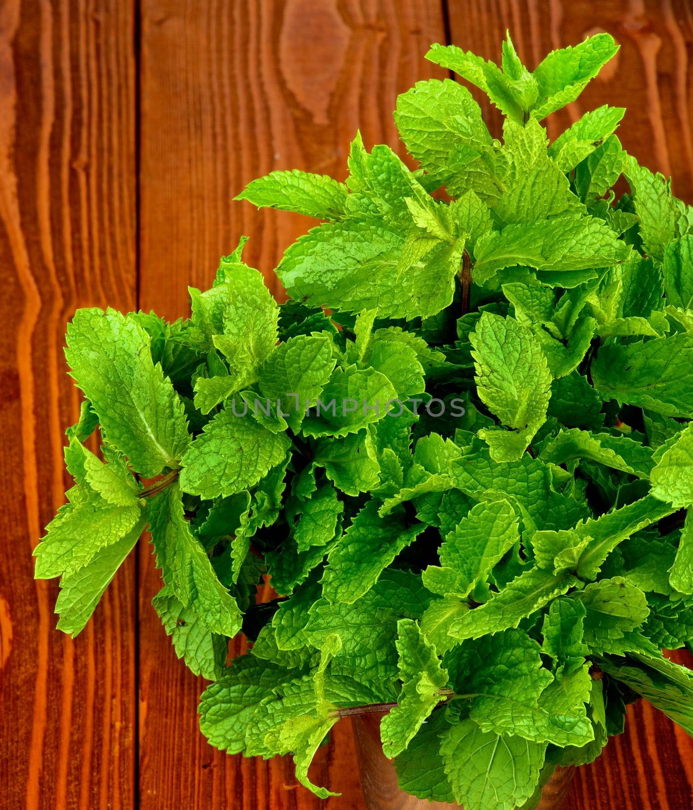 Perfect Raw Fresh Green Mint Leafs closeup on Ginger Wooden background