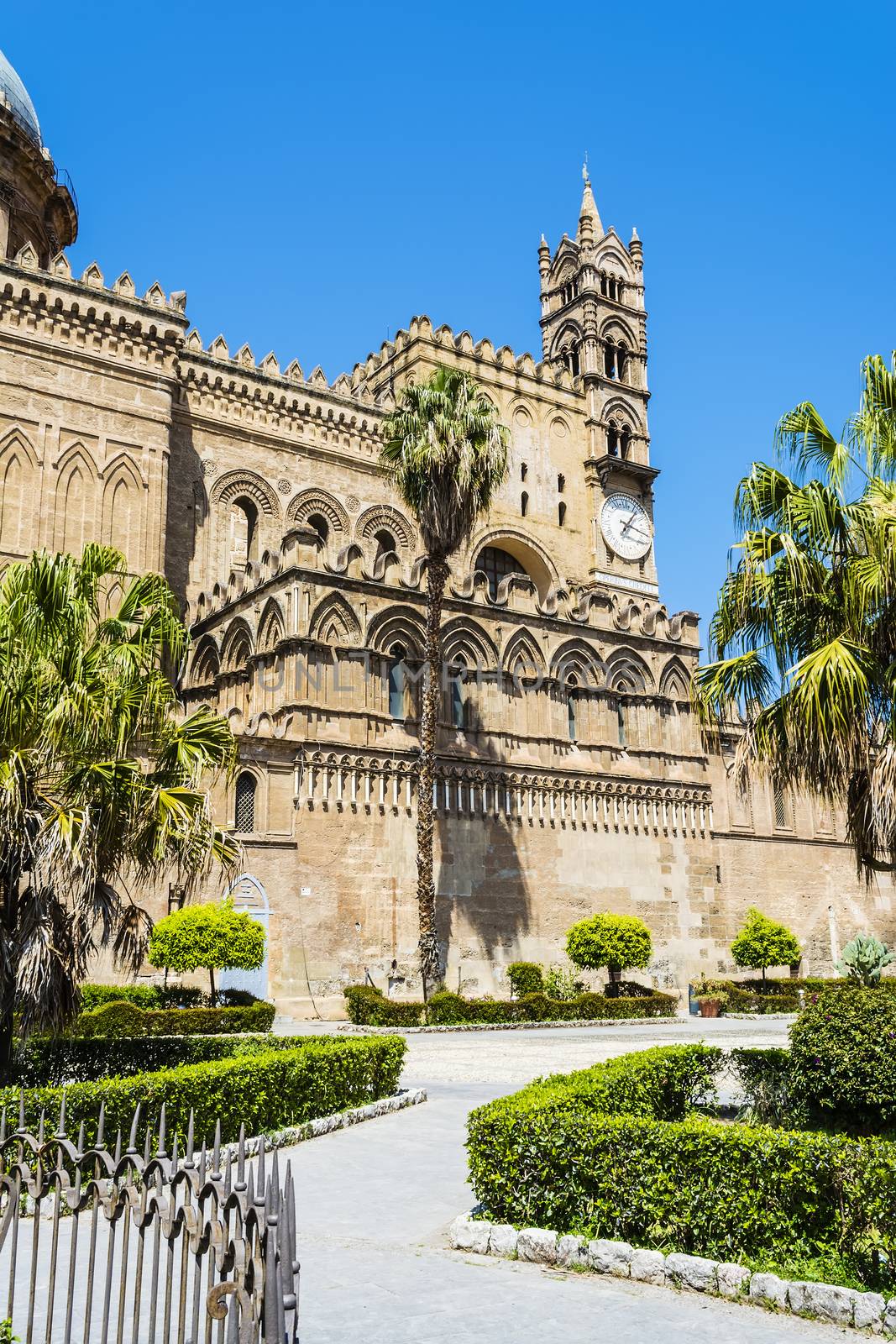 Cathedral of Palermo in Sicily, Italy by ankarb