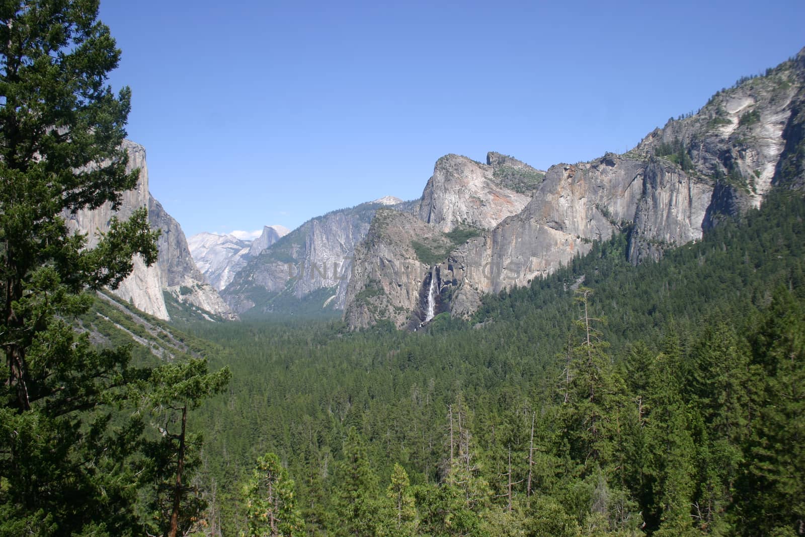 Yosemite Falls from Yosemite Valley. Yosemite National Park, California, USA
