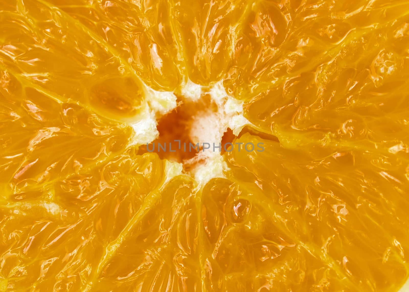 Closeup slice of orange fruit  background.