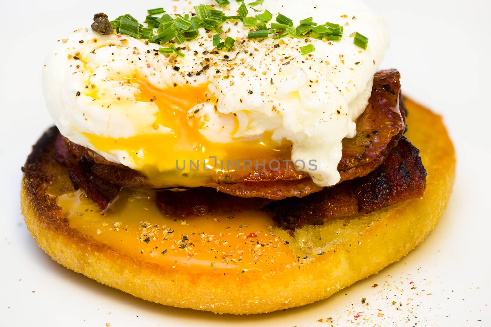 Eggs Benedict on toasted muffins with bacon and sauce
