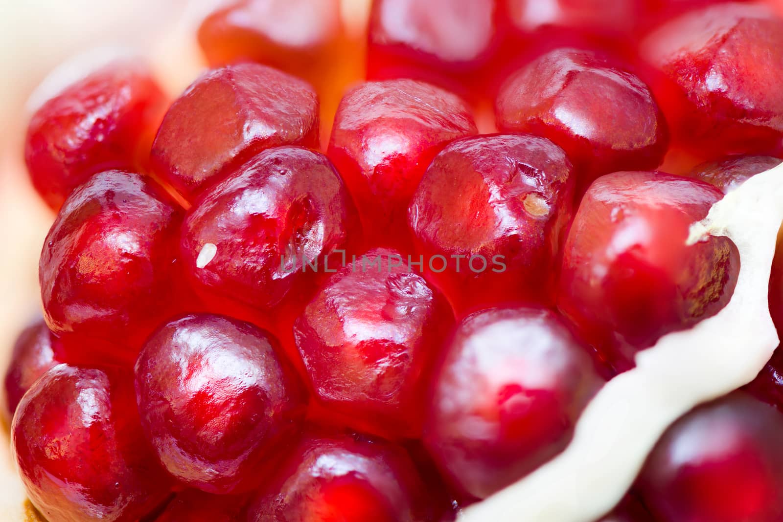 closeup of a pomegranate