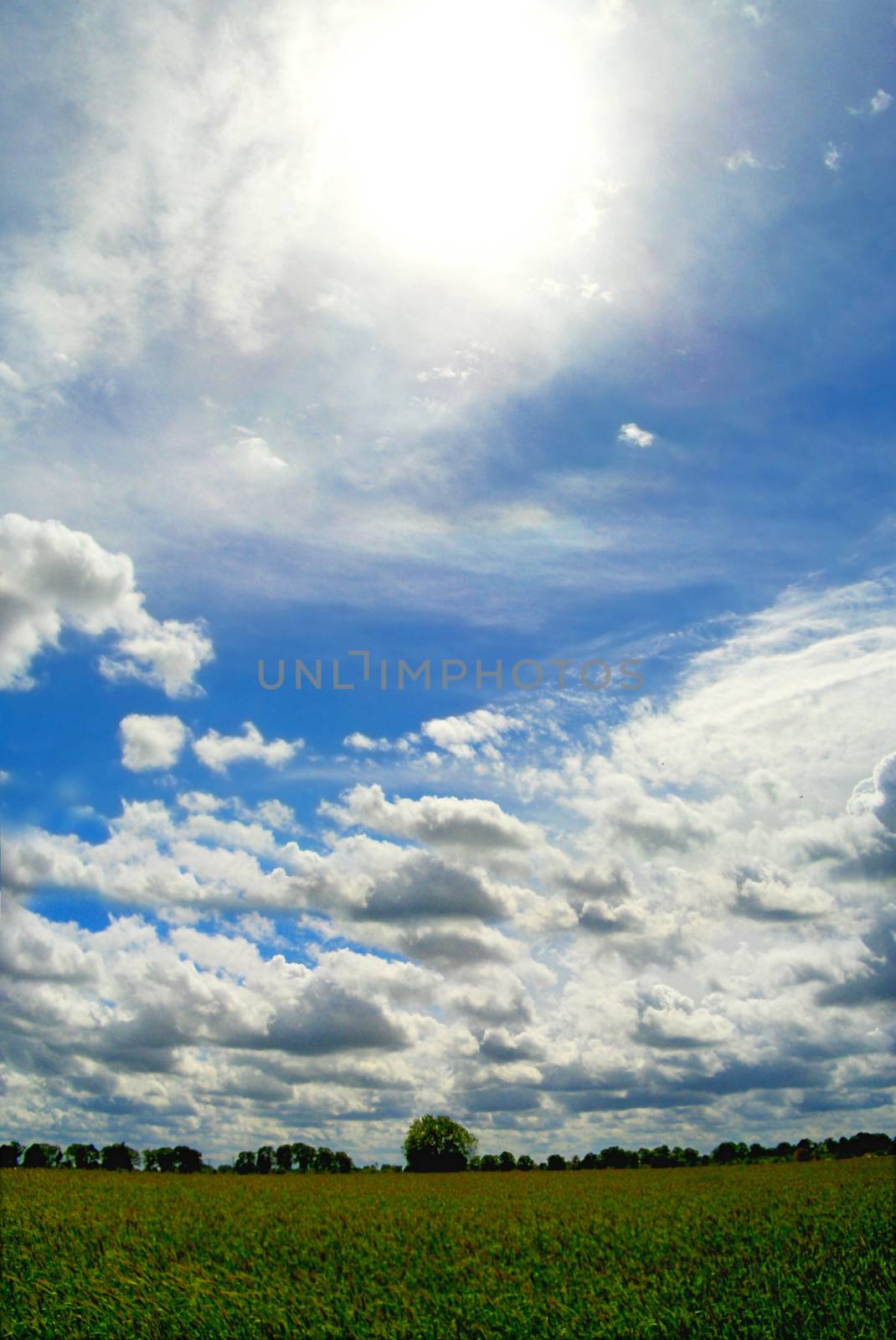 Field and sky conceptual image. by satariel