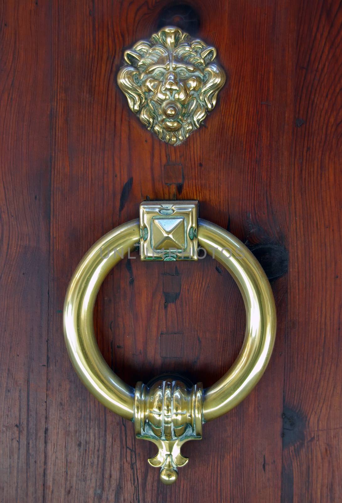 Classical doorknob in a door of a house in Palma de Mallorca (Spain)