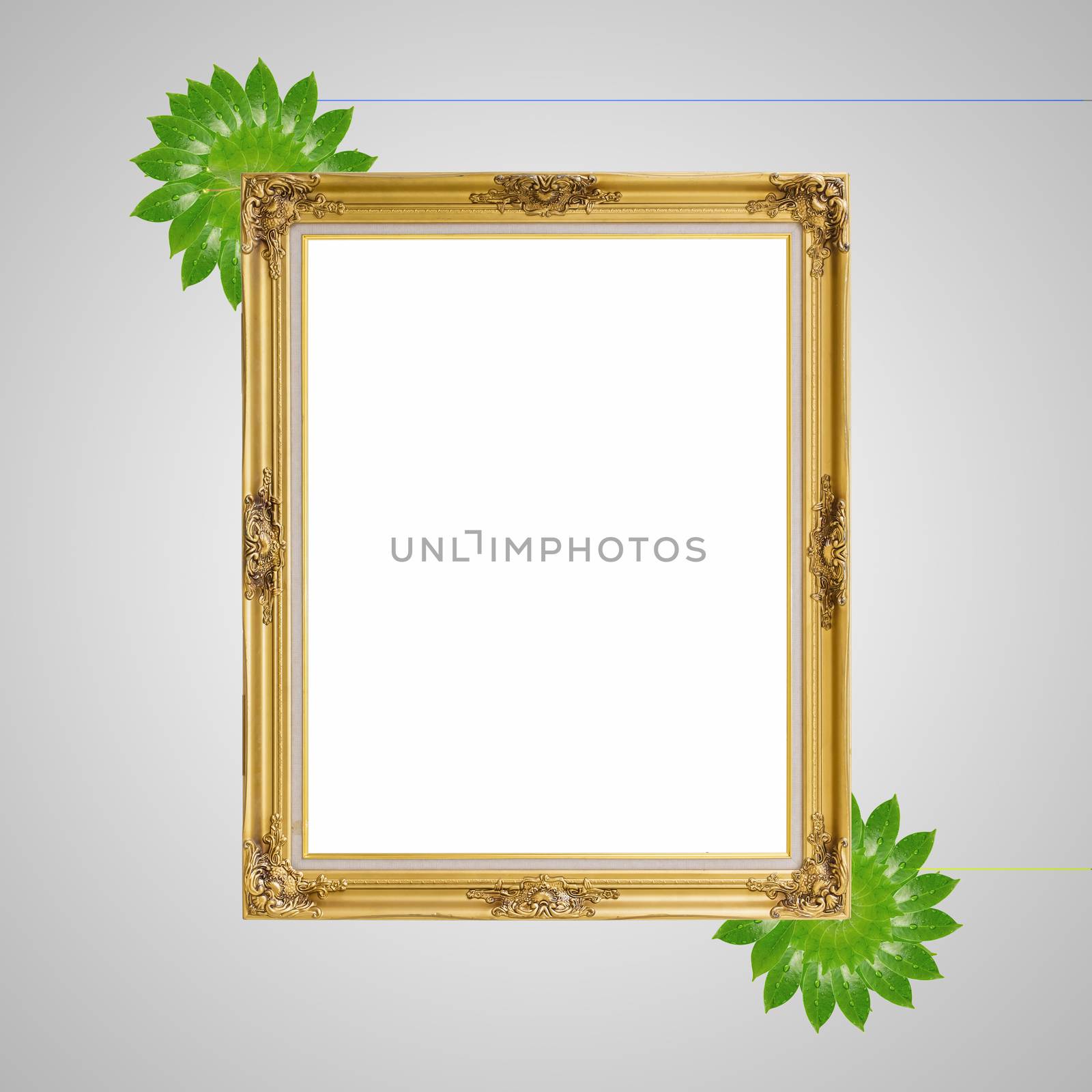 Gold louise and leaves photo frame isolated white background